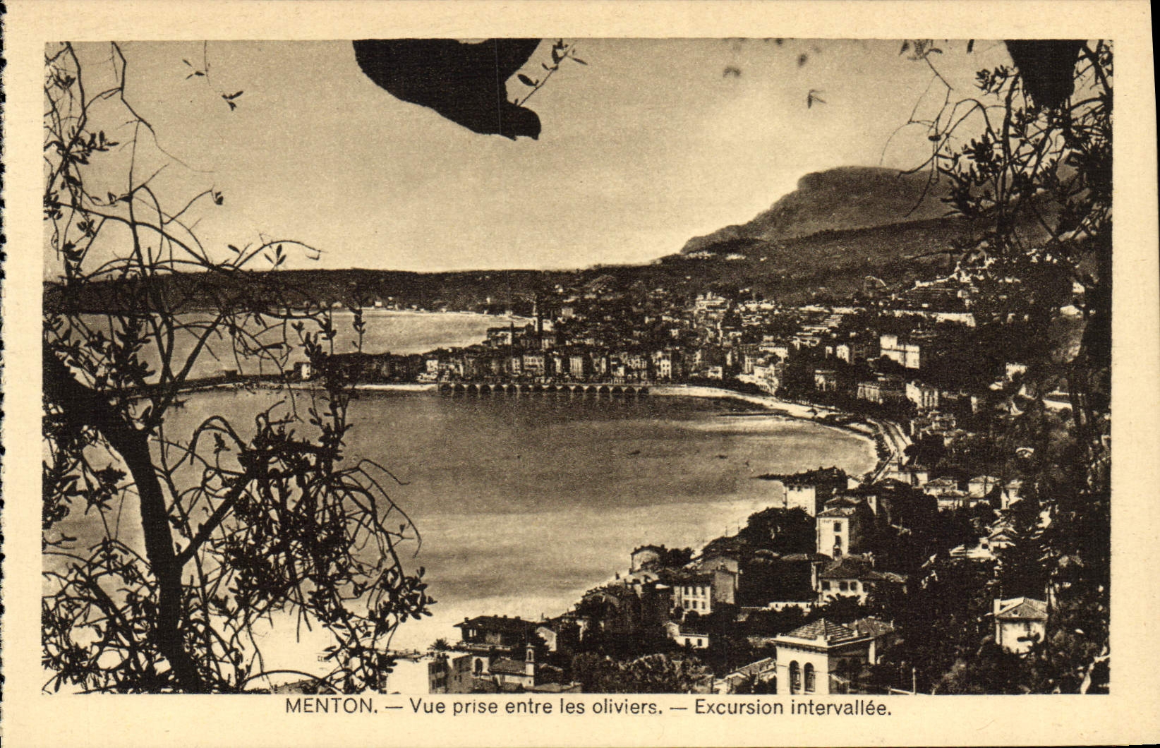 VINTAGE POSTCARD Menton Seen from between the Olive-trees Excursion intervallee