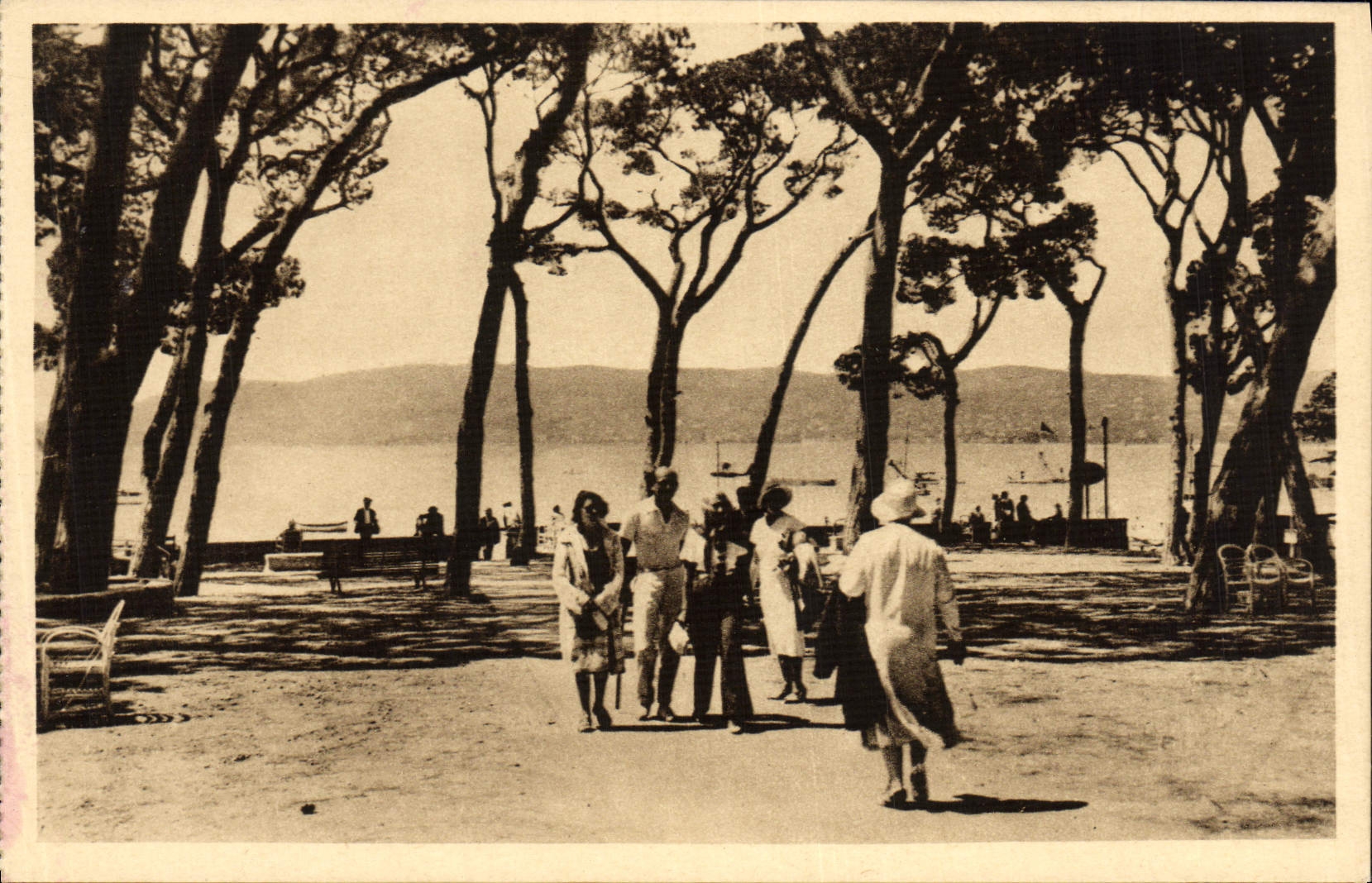 CPA Juan les Pins La pinede
