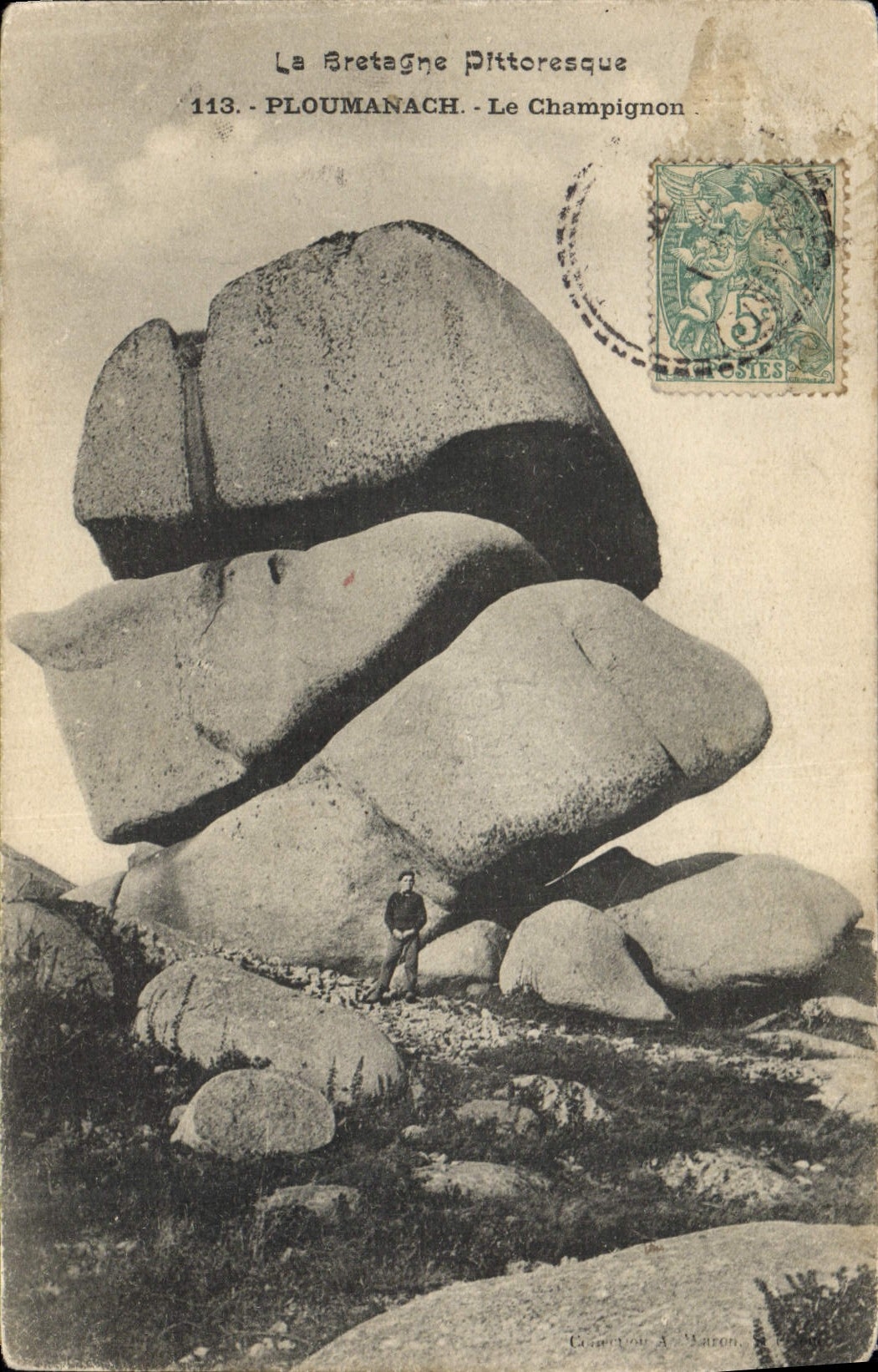 CPA Ploumanach Le Champignon