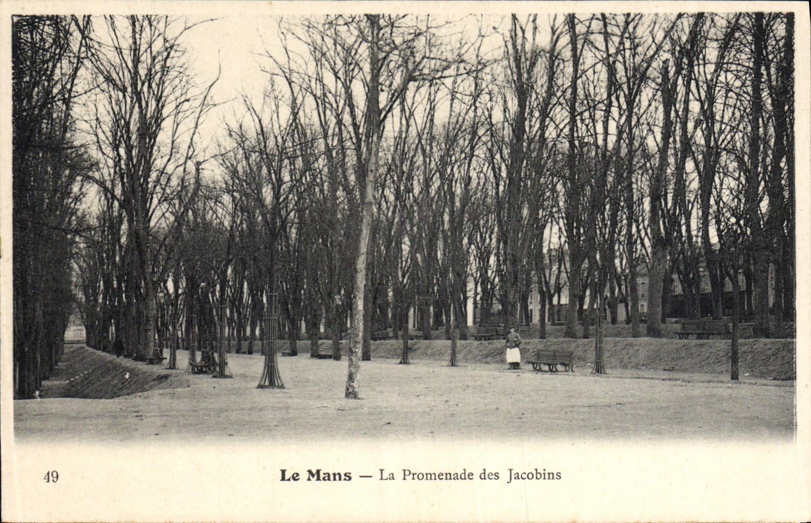 CPA Le Mans La Promenade des Jacobins