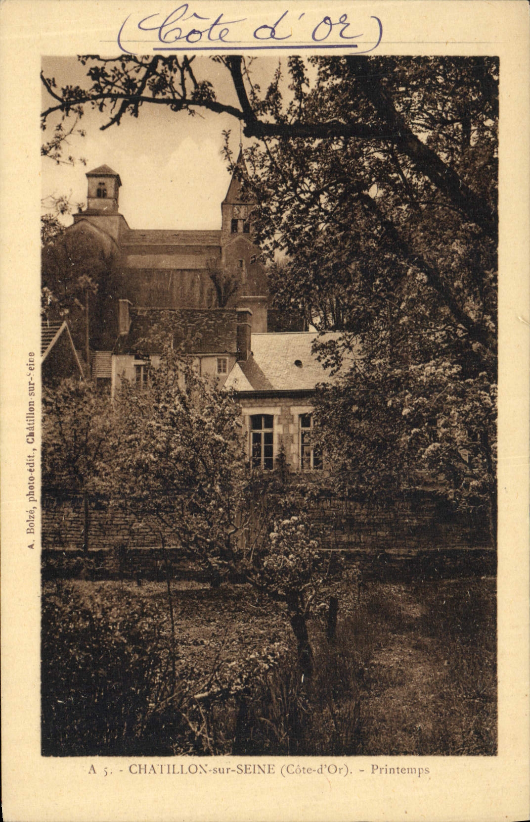 VINTAGE POSTCARD Chatillon on the Seine Spring