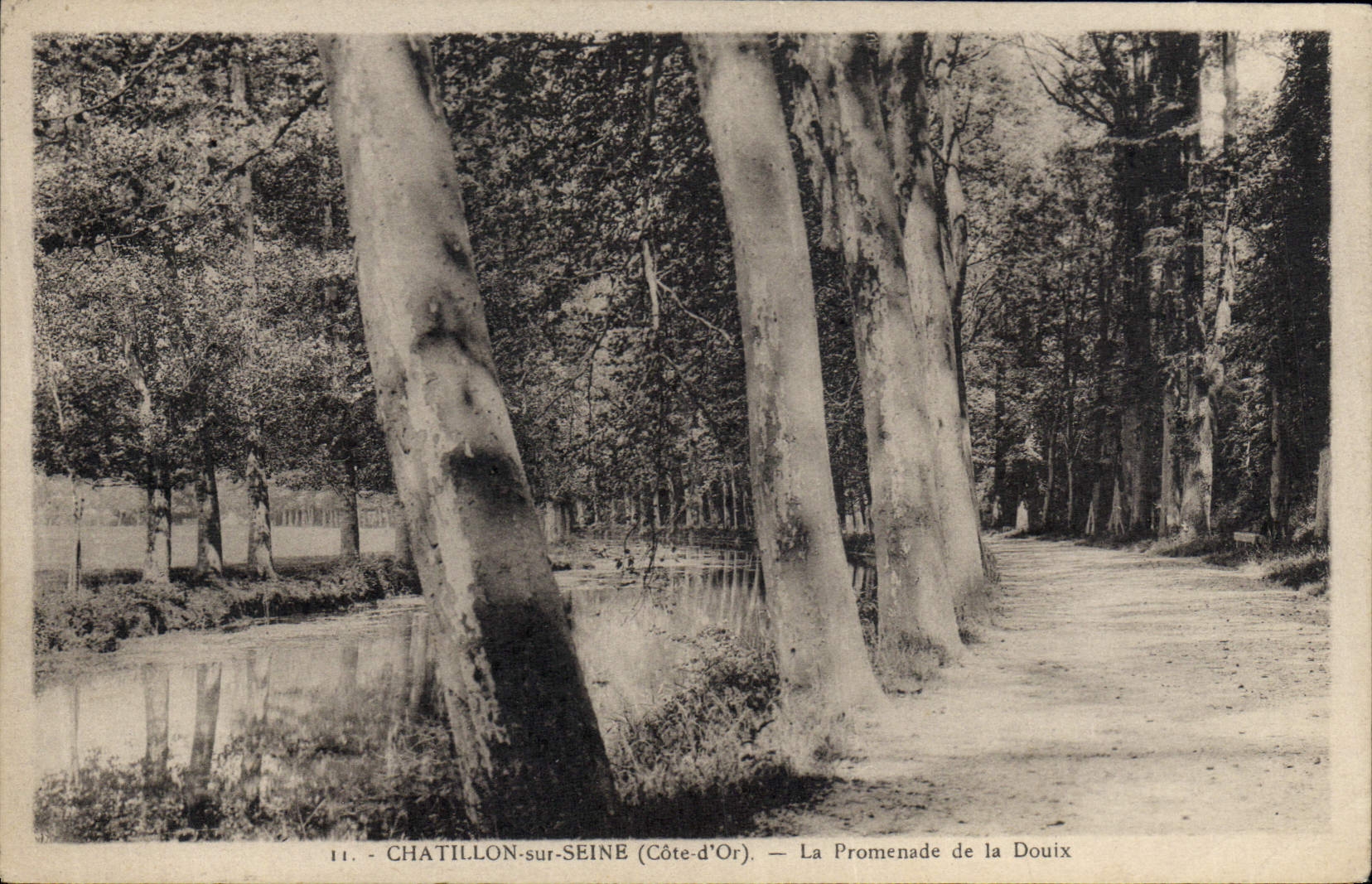VINTAGE POSTCARD Chatillon on the Seine the Walk of Douix