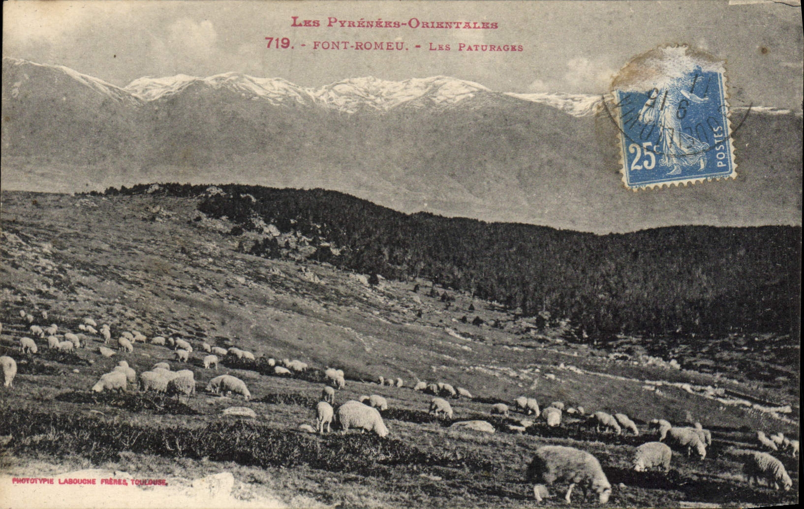 VINTAGE POSTCARD Romeu the Pastures Make