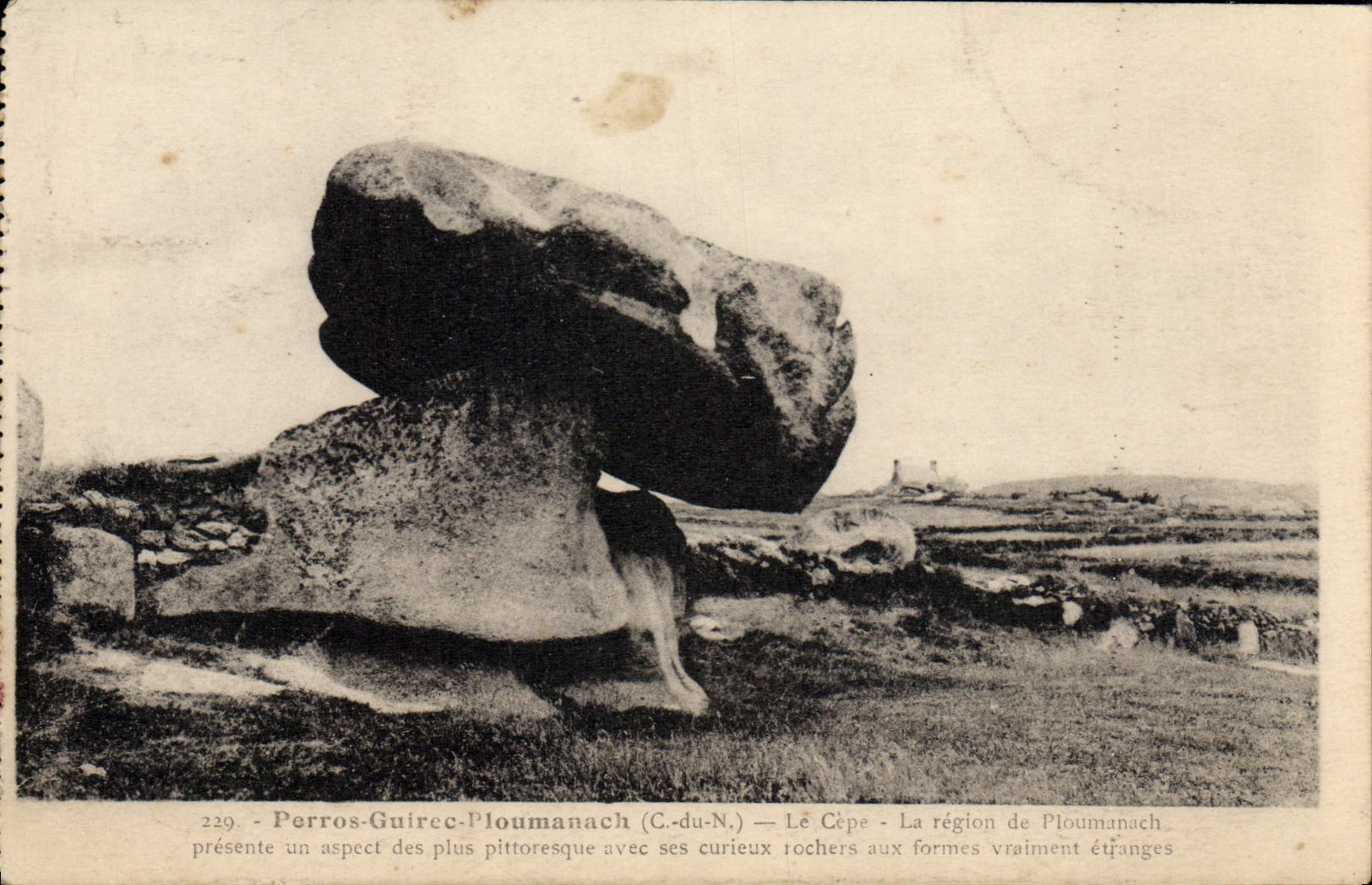 CPA Perros Guirec Ploumanach le Cepe