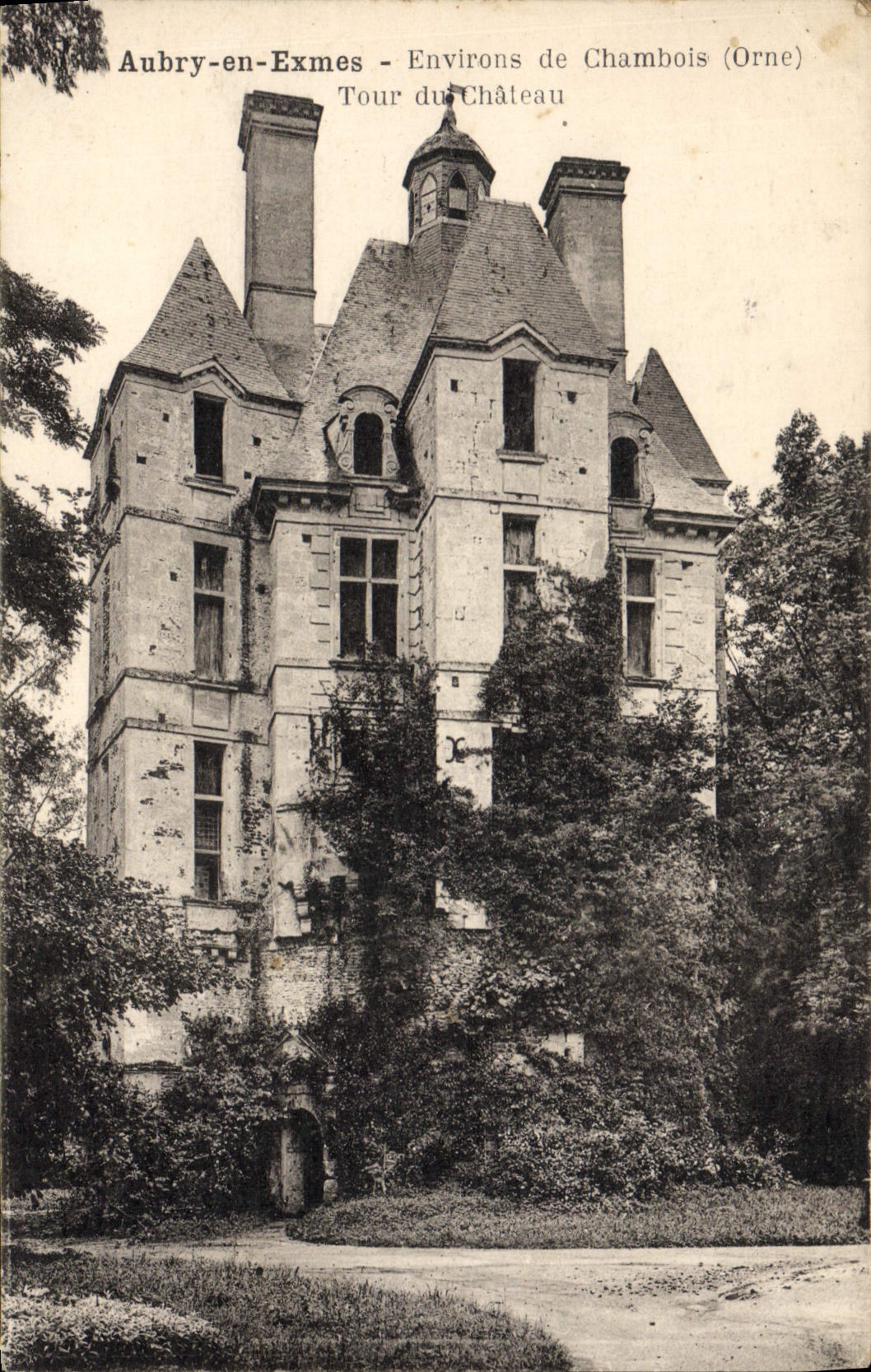 CPA Aubry en Exmes Environs de Chambois Tour du chateau