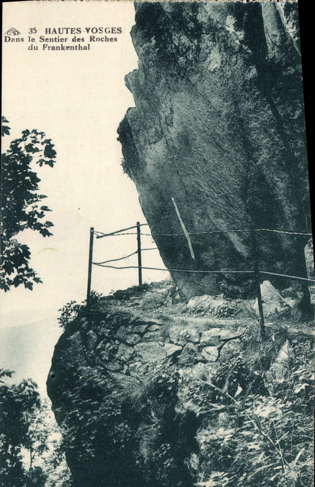 VINTAGE POSTCARD In the Path of the Rocks Of Frankenthal Voges
