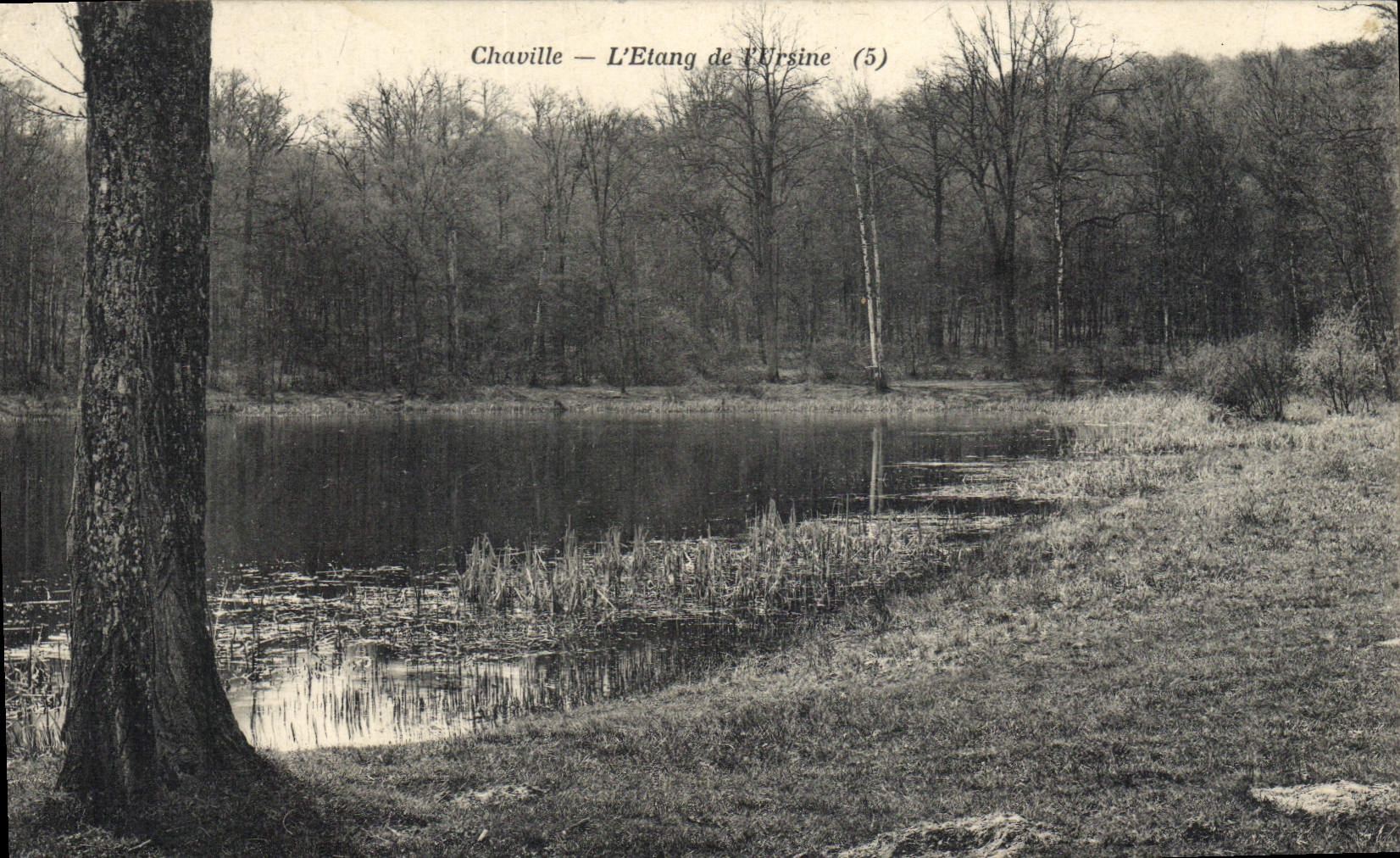 CPA Chaville L'Etang de l'Ursine