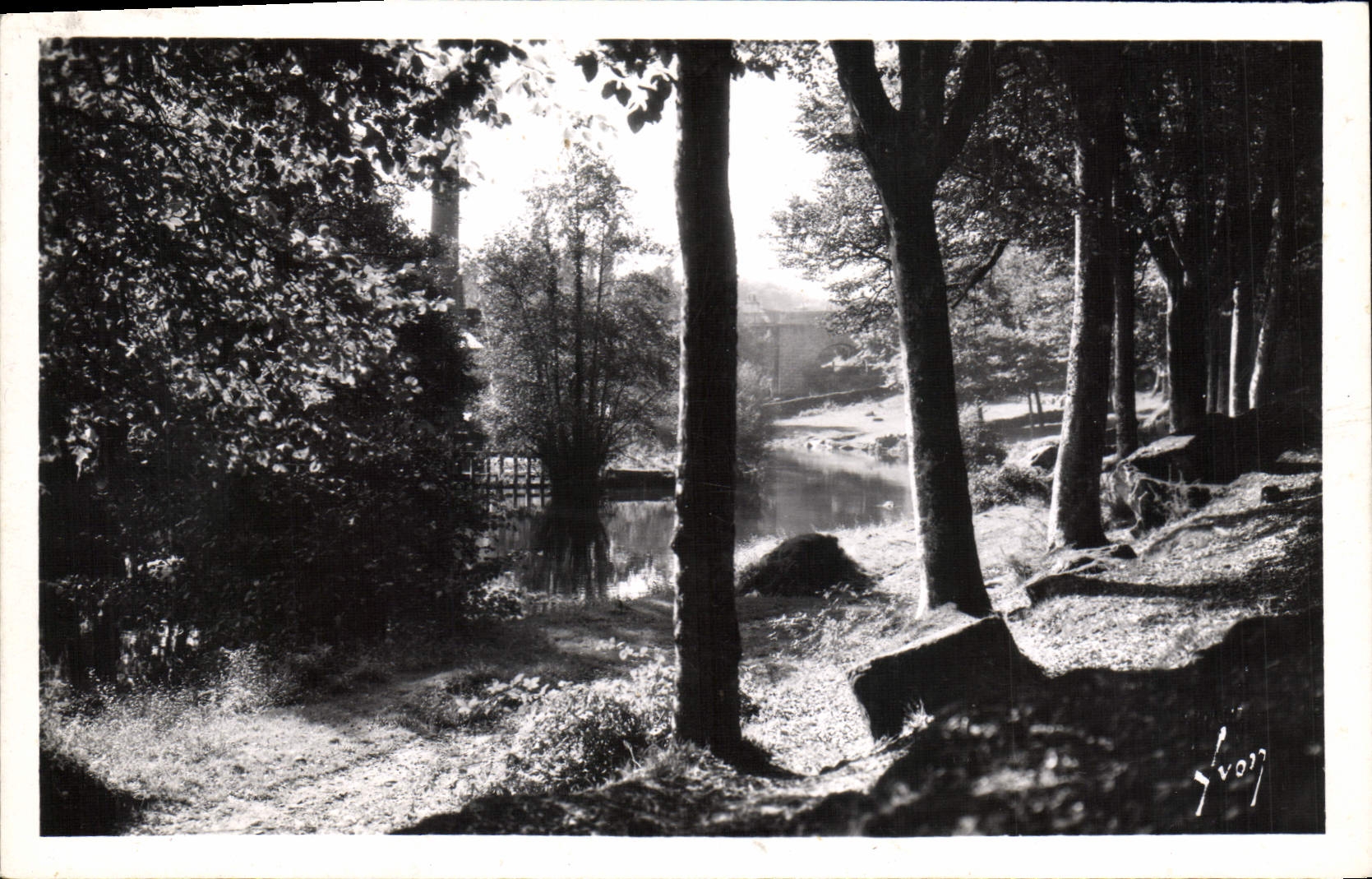 MODERN CARD Bridge Swallow-hole the Wood of Love