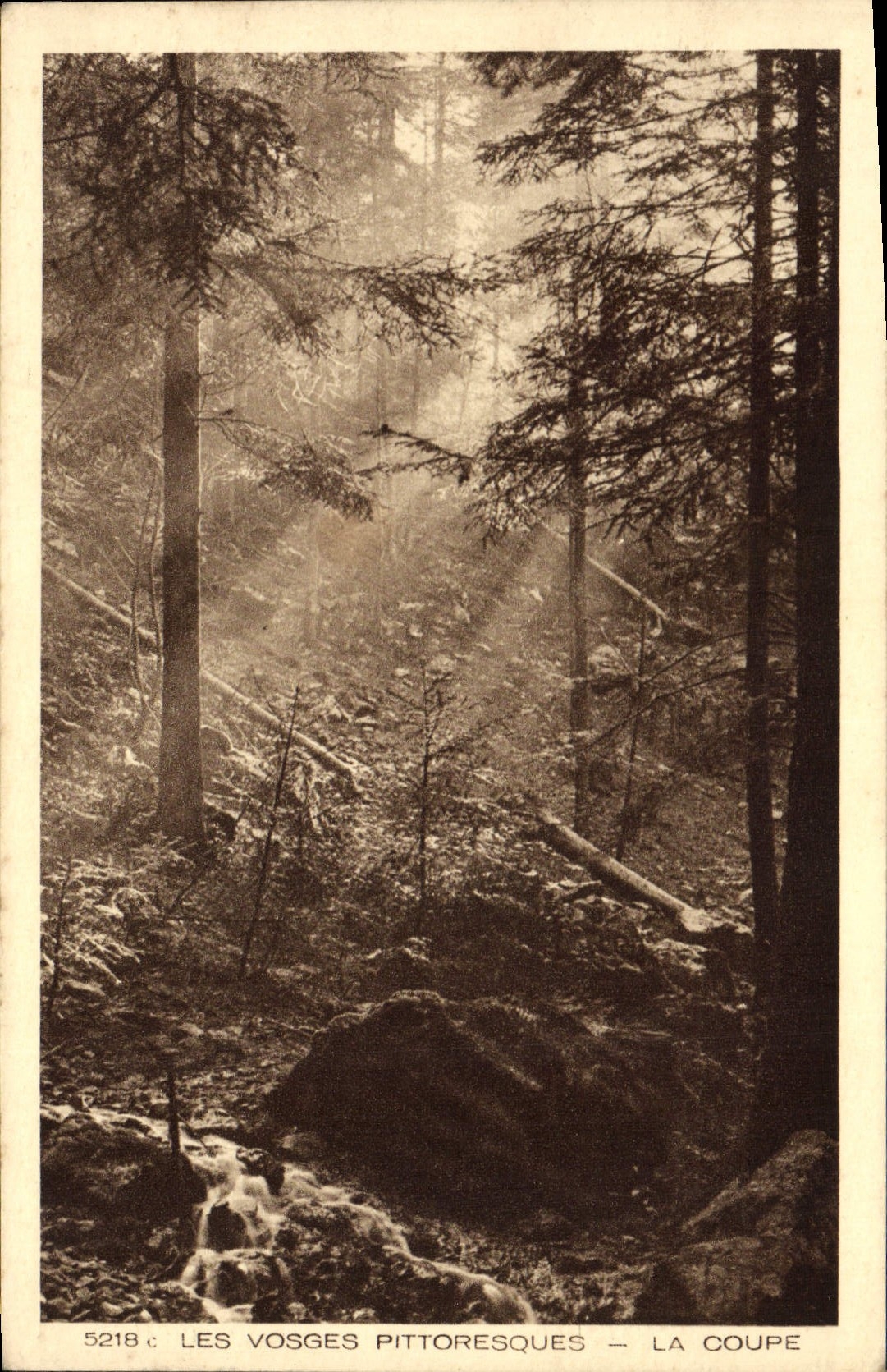 VINTAGE POSTCARD the Picturesque Vosges Cut
