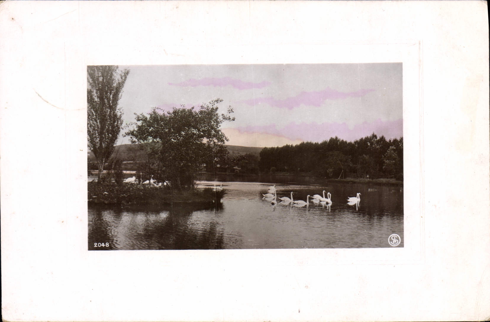 VINTAGE POSTCARD Fantasy Swans