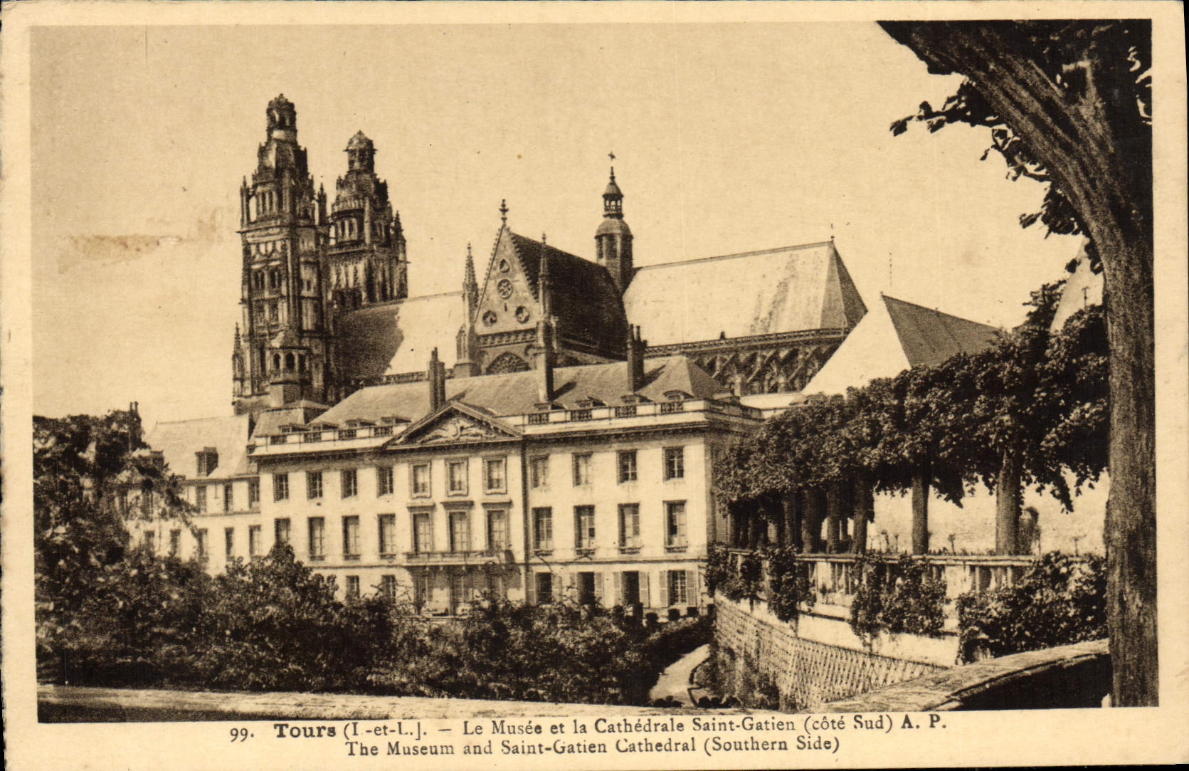 CPA Tours Le Musee et La Cathadrale Saint Gatien