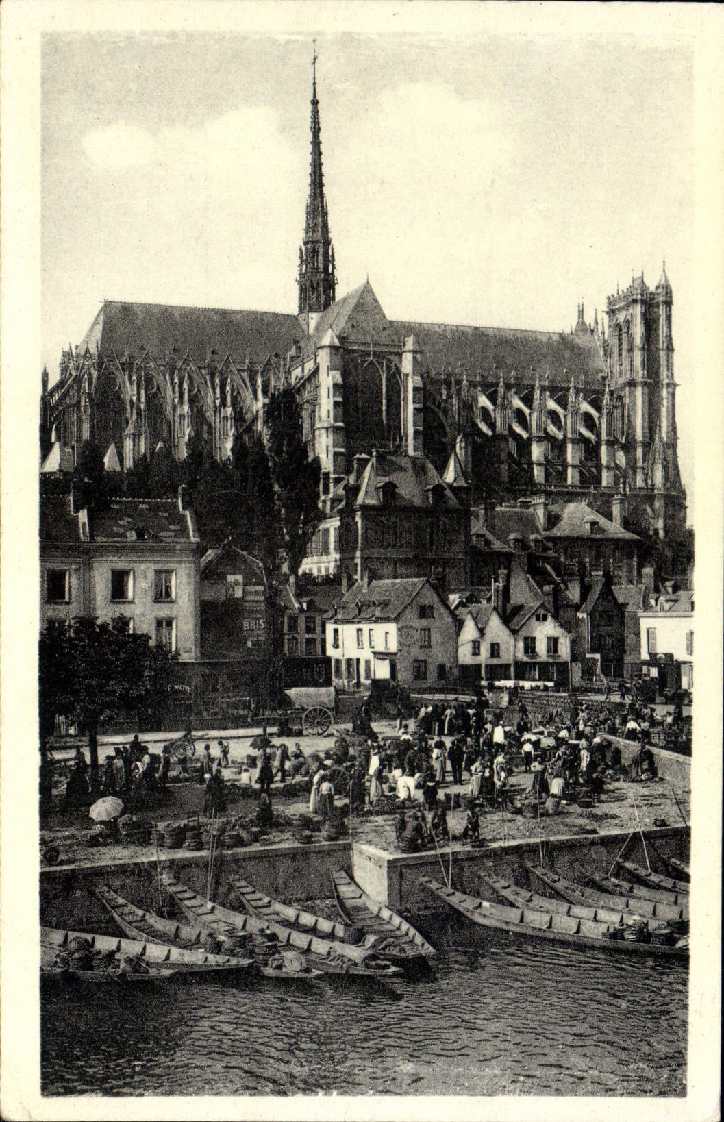 MODERN CARD Amiens the Cathedral And Market On I' Eau