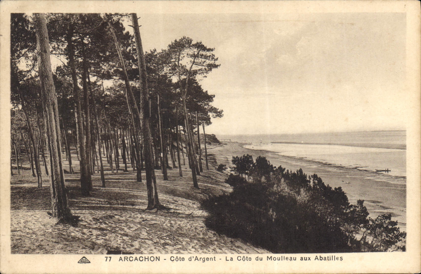 CPA Arcachon Cote D'Argent La Cote Du Moulieau Aux Abatilles