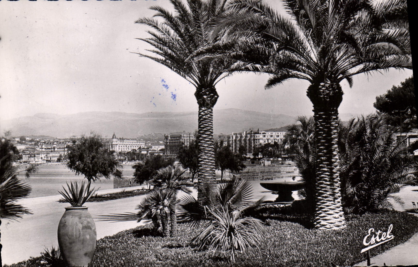 MODERN CARD Cannes the Garden of Hesperides