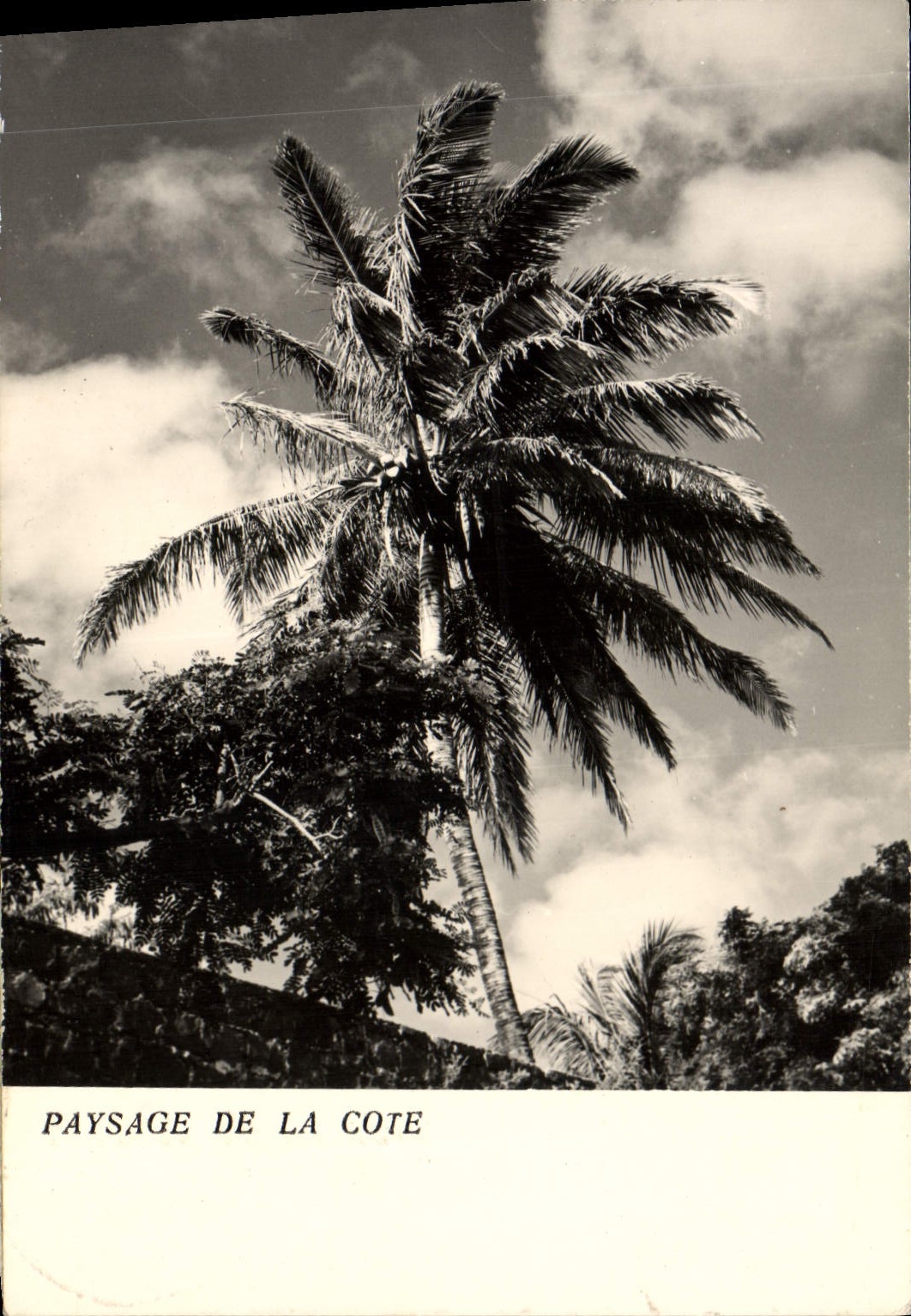 MODERN CARD Landscape Of the Madagascar Dimension