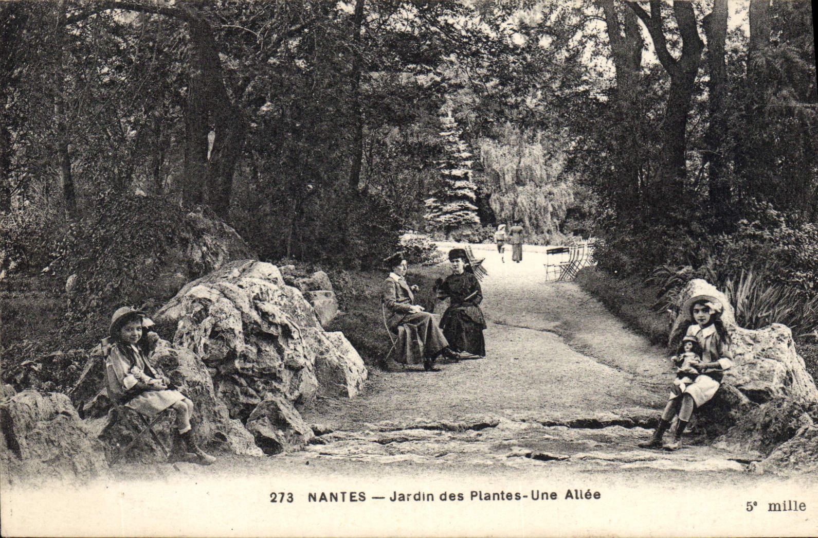 VINTAGE POSTCARD Nantes Botanical garden an Alley