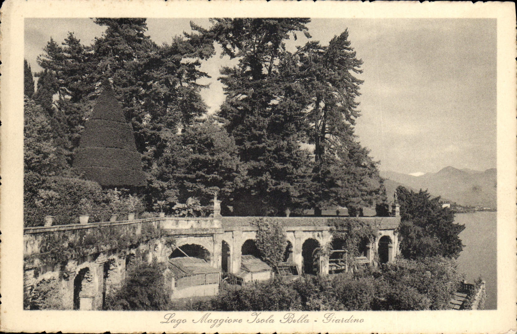 VINTAGE POSTCARD Lago maggiore Isola Bleated Giardiono