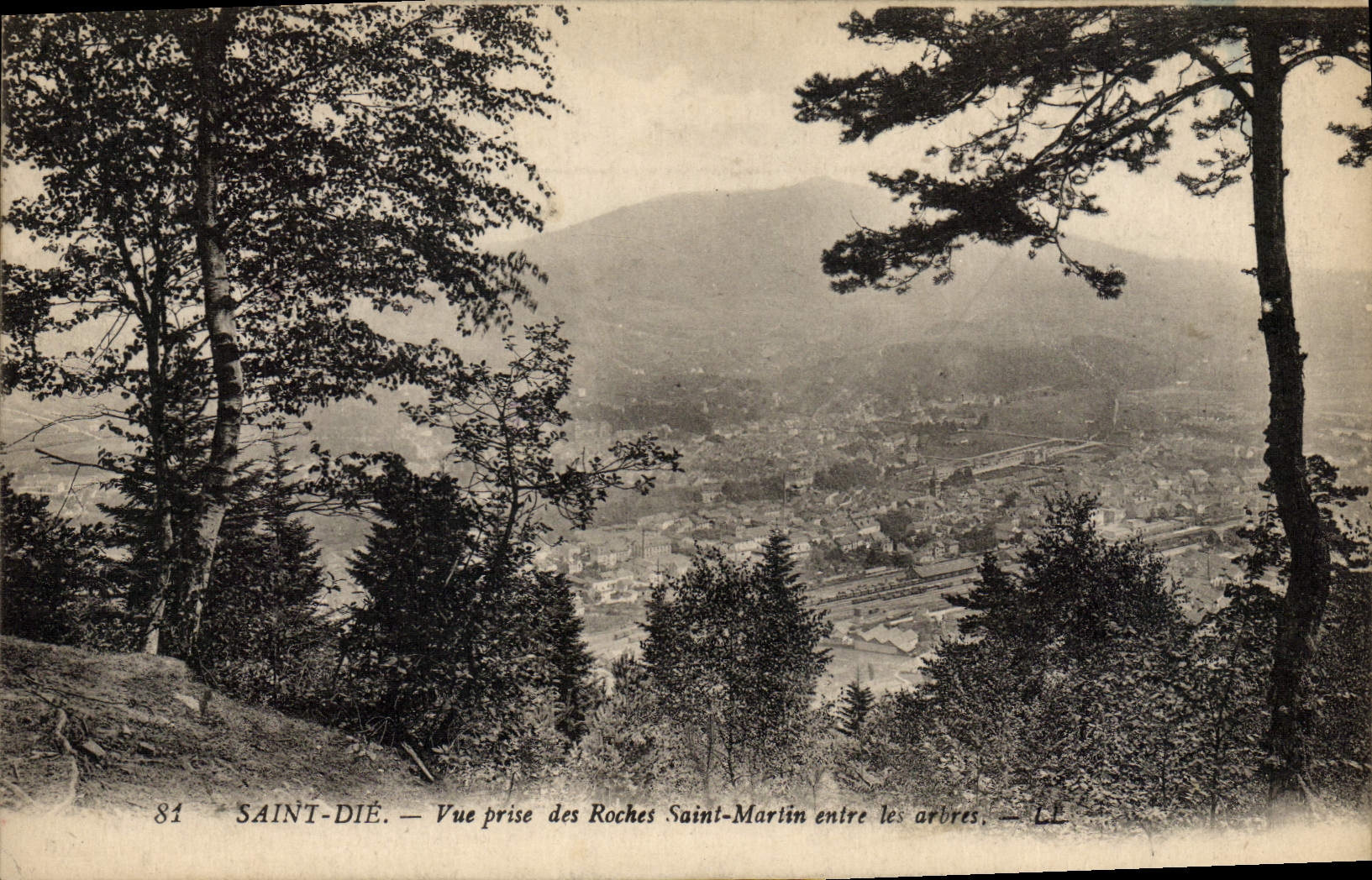 VINTAGE POSTCARD Saint Die Seen from of the Holy Rock Martin enters the trees