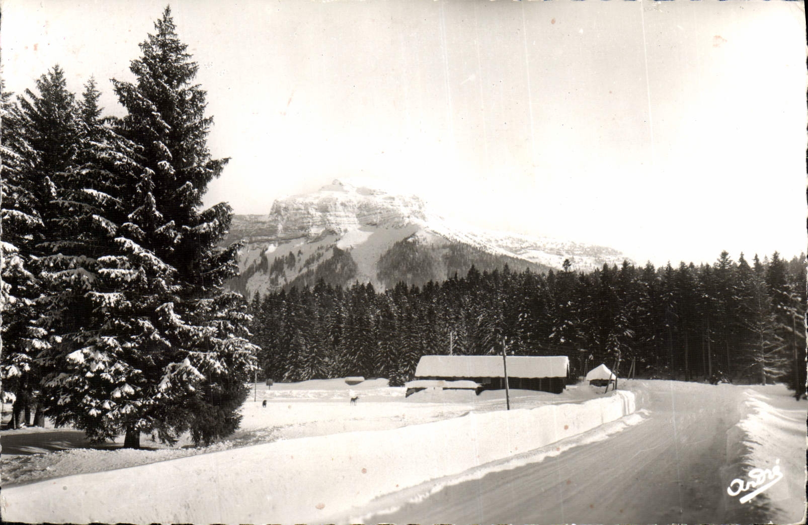 CPM Route Dans Les Alpes 