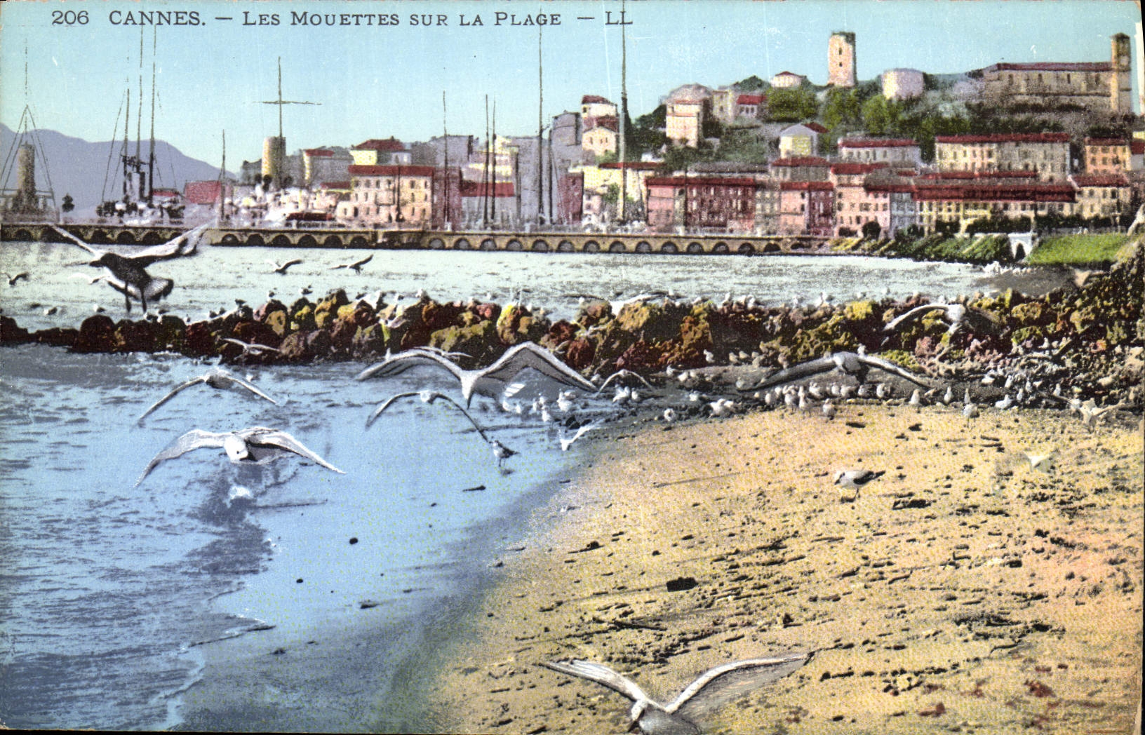 CPA Cannes Les Mouettes Sur La Plage