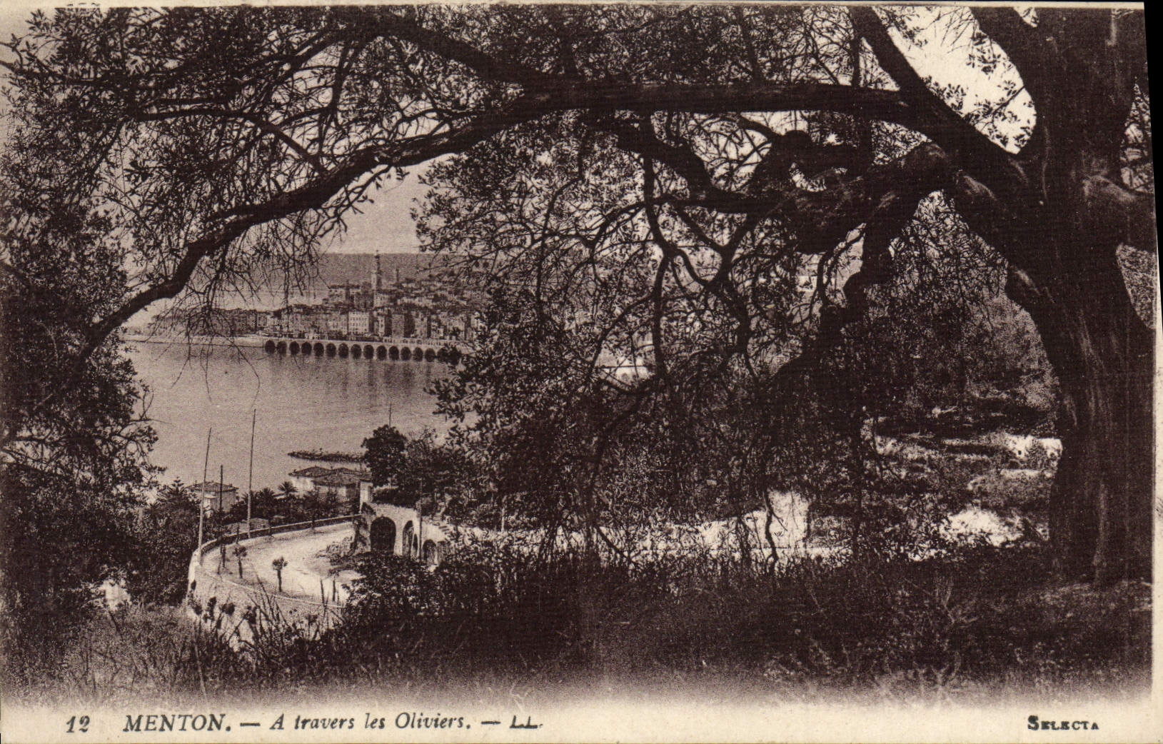 VINTAGE POSTCARD Menton through the Olive-trees