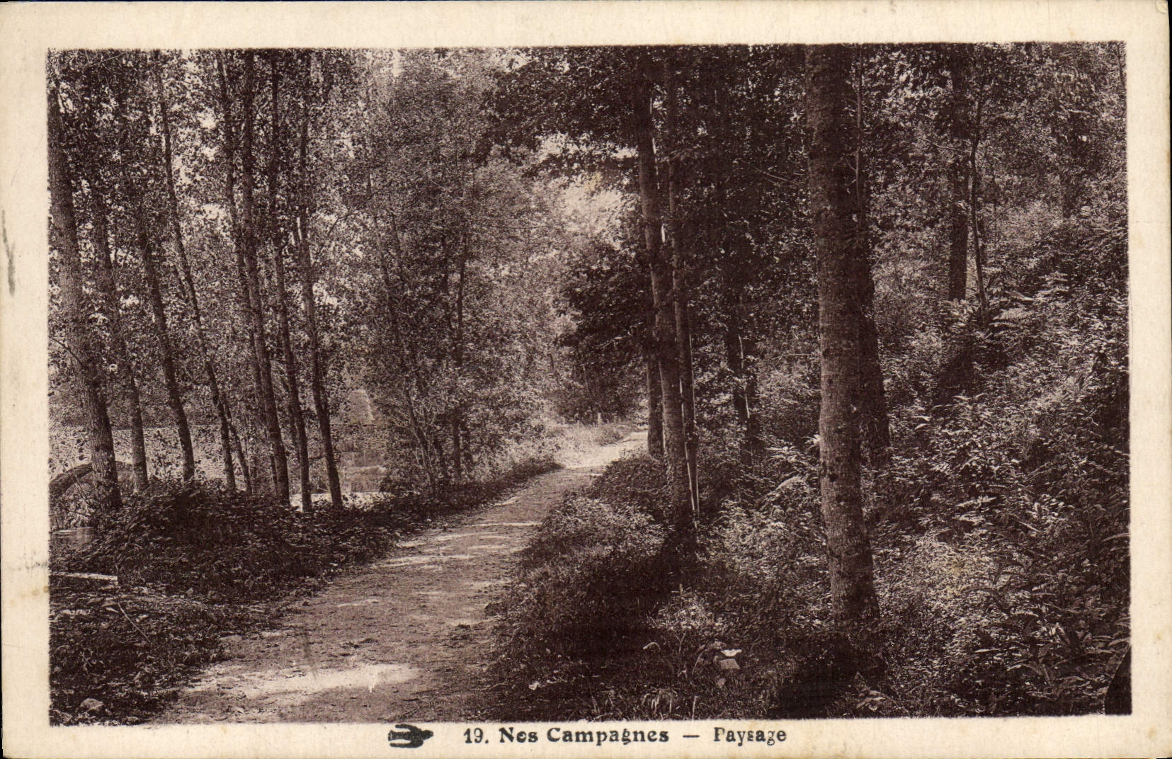 VINTAGE POSTCARD Our Campaigns Landscape