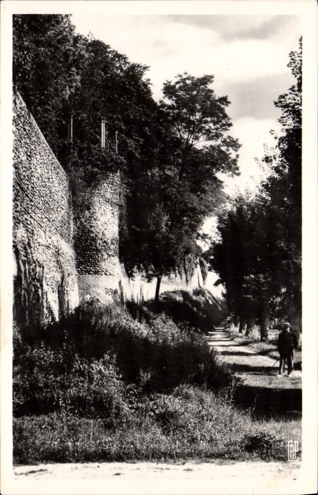 MODERN CARD Joigny the Old crock