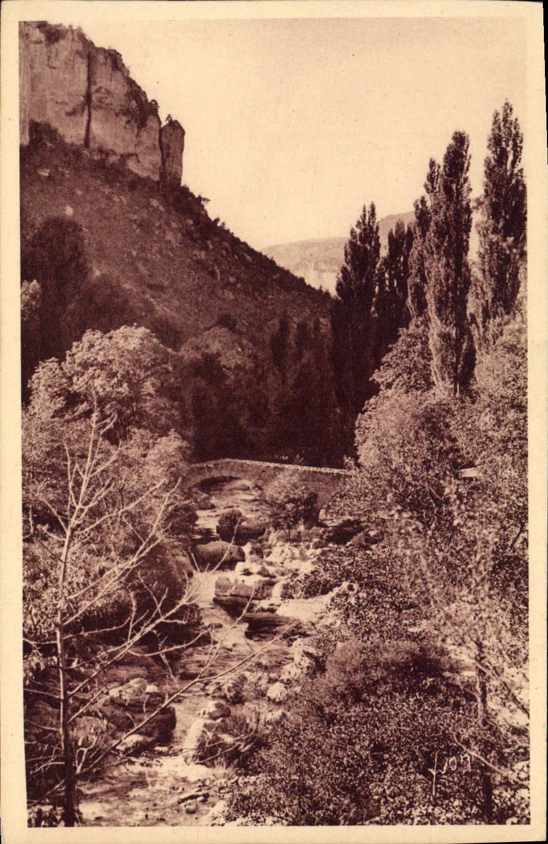 CPA Gorges Du Tarn Le canon de la Jonte que dominent les remparts creneles du Fort Saint Michel bastion du Causse Noir