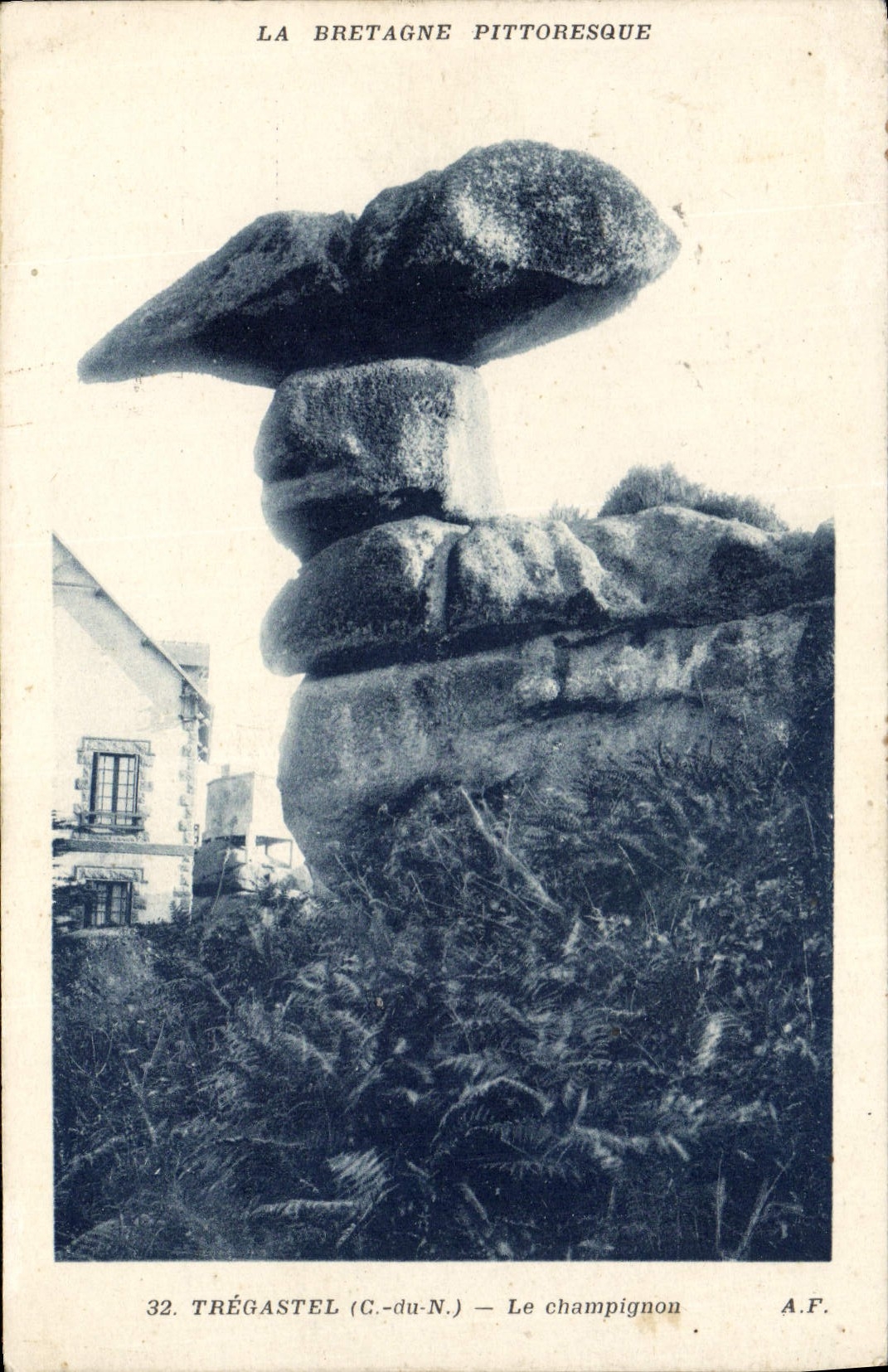 CPA Tregastel Le Champignon