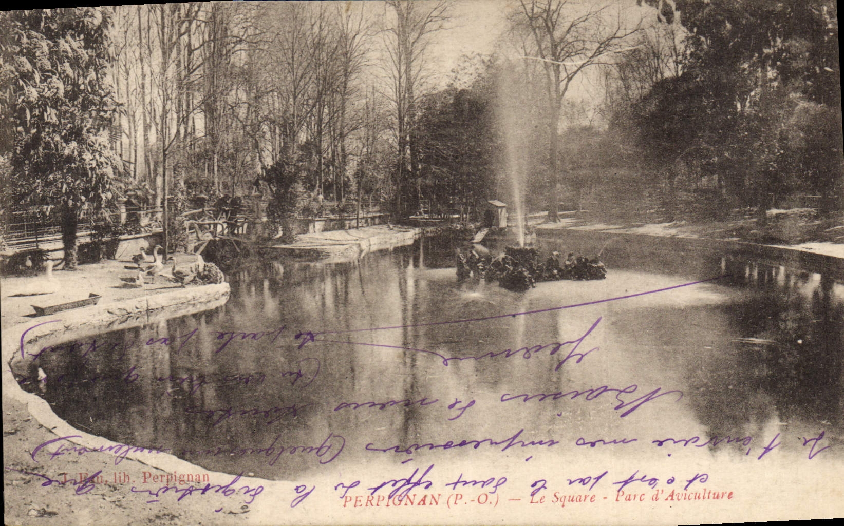 VINTAGE POSTCARD Perpignan the Public garden Park Of Poultry farming