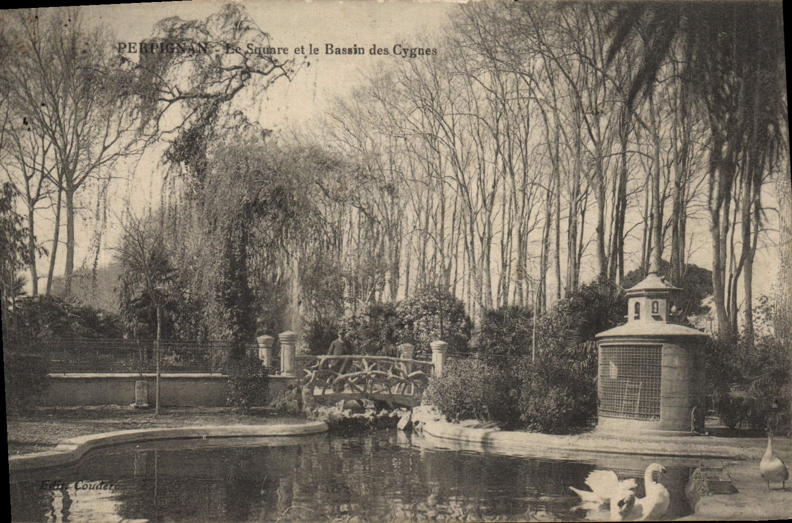 VINTAGE POSTCARD Perpignan the Public garden And the Basin Of the Swans