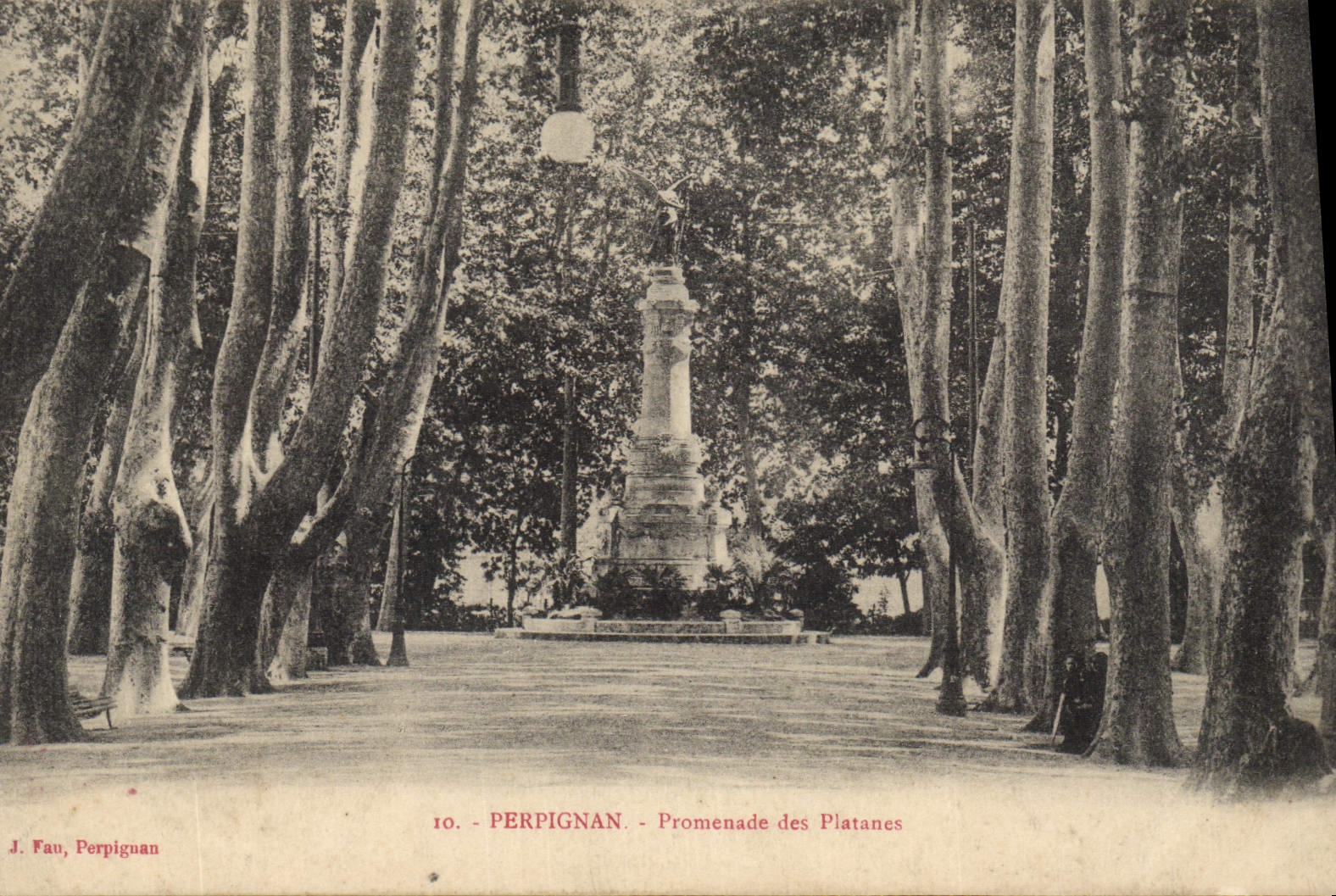 VINTAGE POSTCARD Perpignan Walk Of the Plane trees