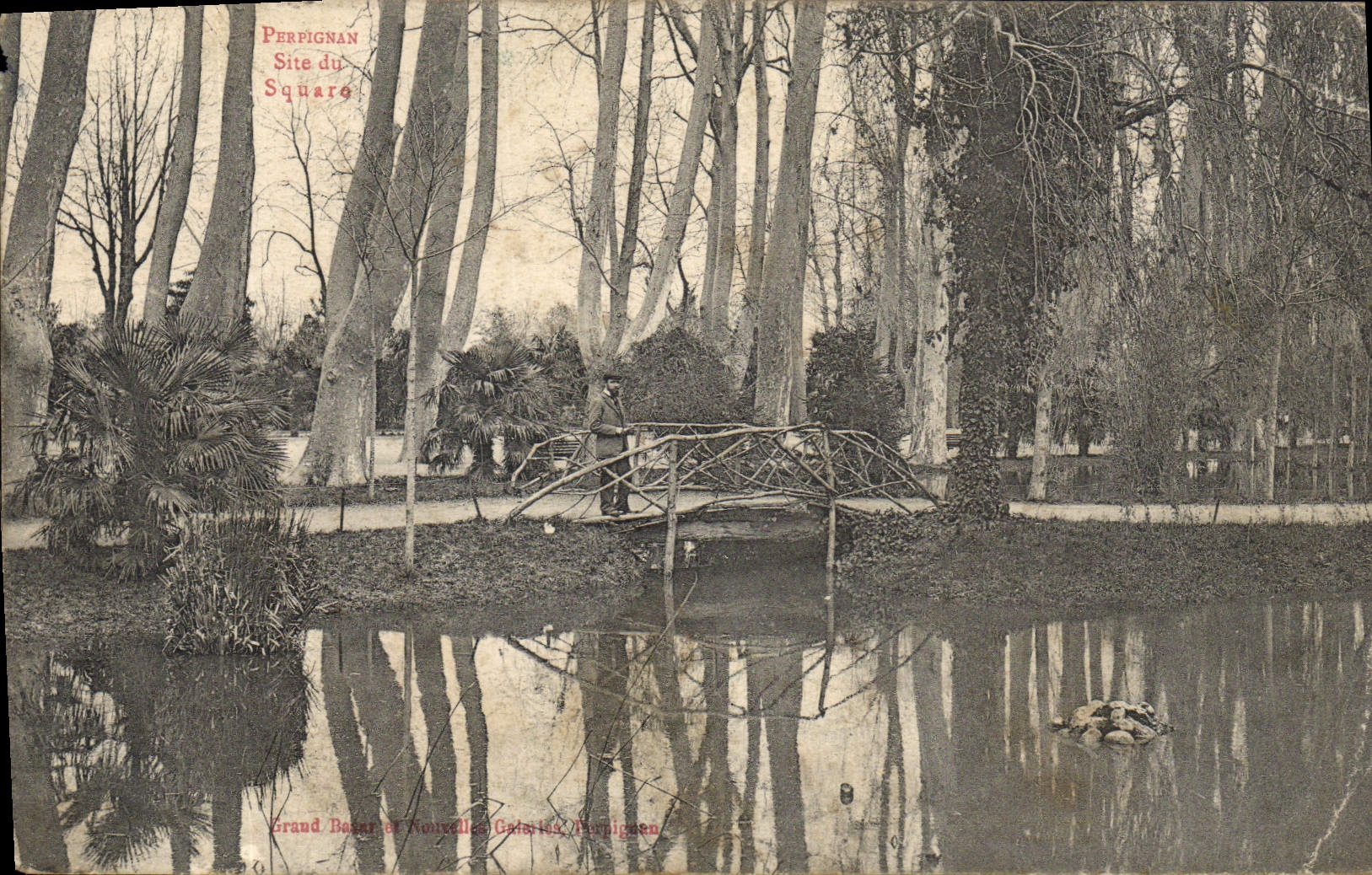 VINTAGE POSTCARD Perpignan Site Of the public garden