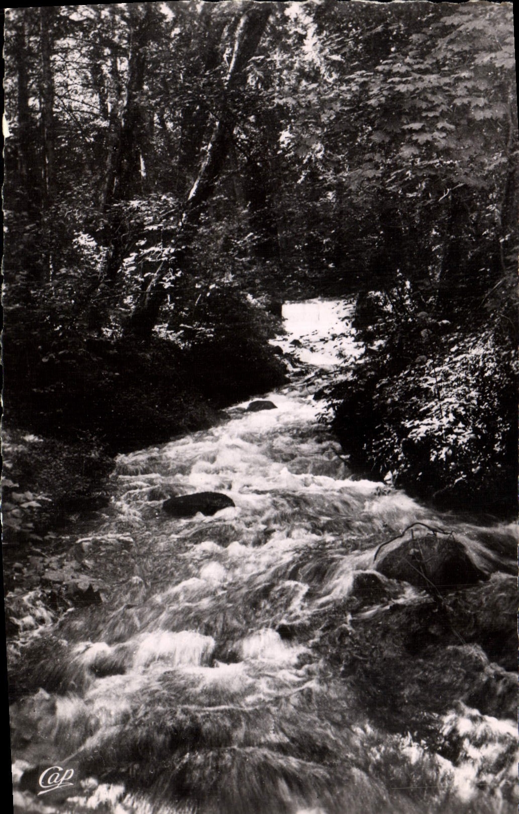 MODERN CARD Divonne Les Bains Divonne