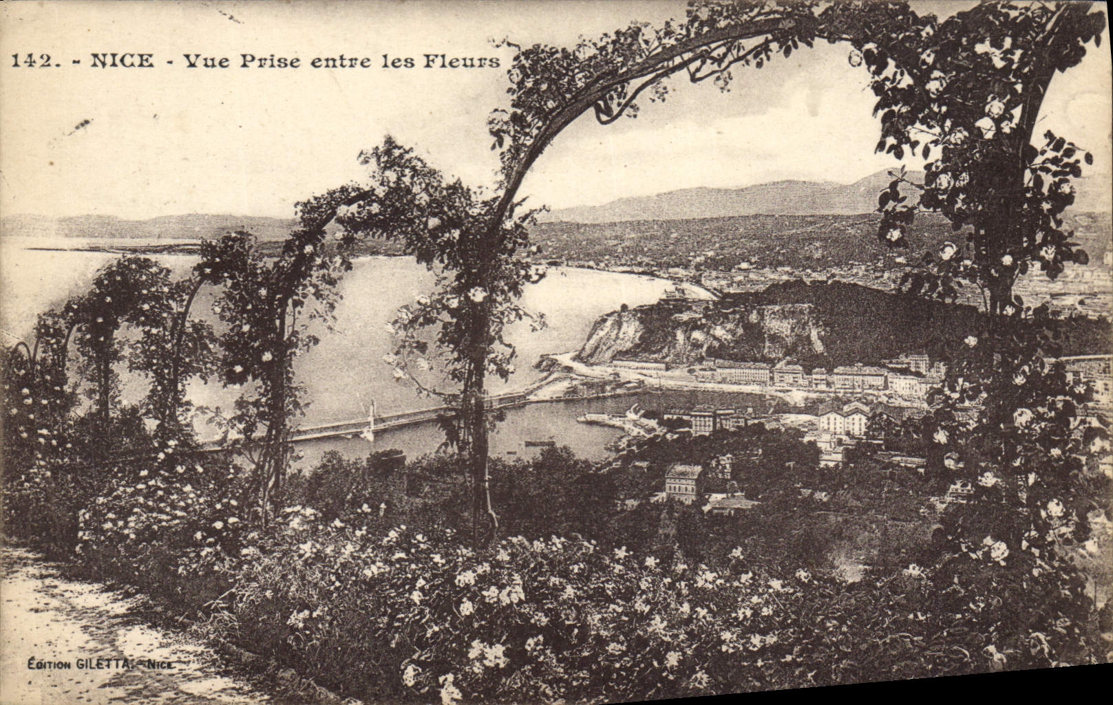 VINTAGE POSTCARD Nice Seen from Between the Flowers