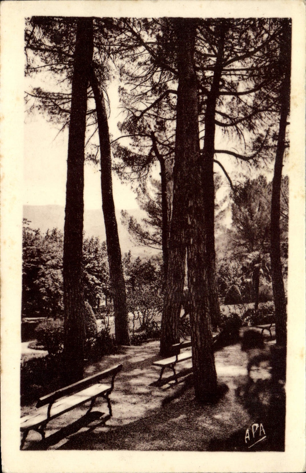 VINTAGE POSTCARD Lamalou Les Bains the garden Of Usclade