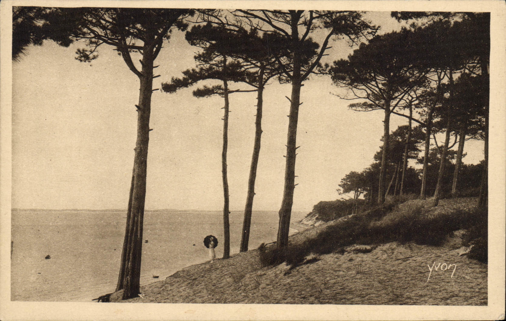 VINTAGE POSTCARD Moulleau Park Of Abatilles