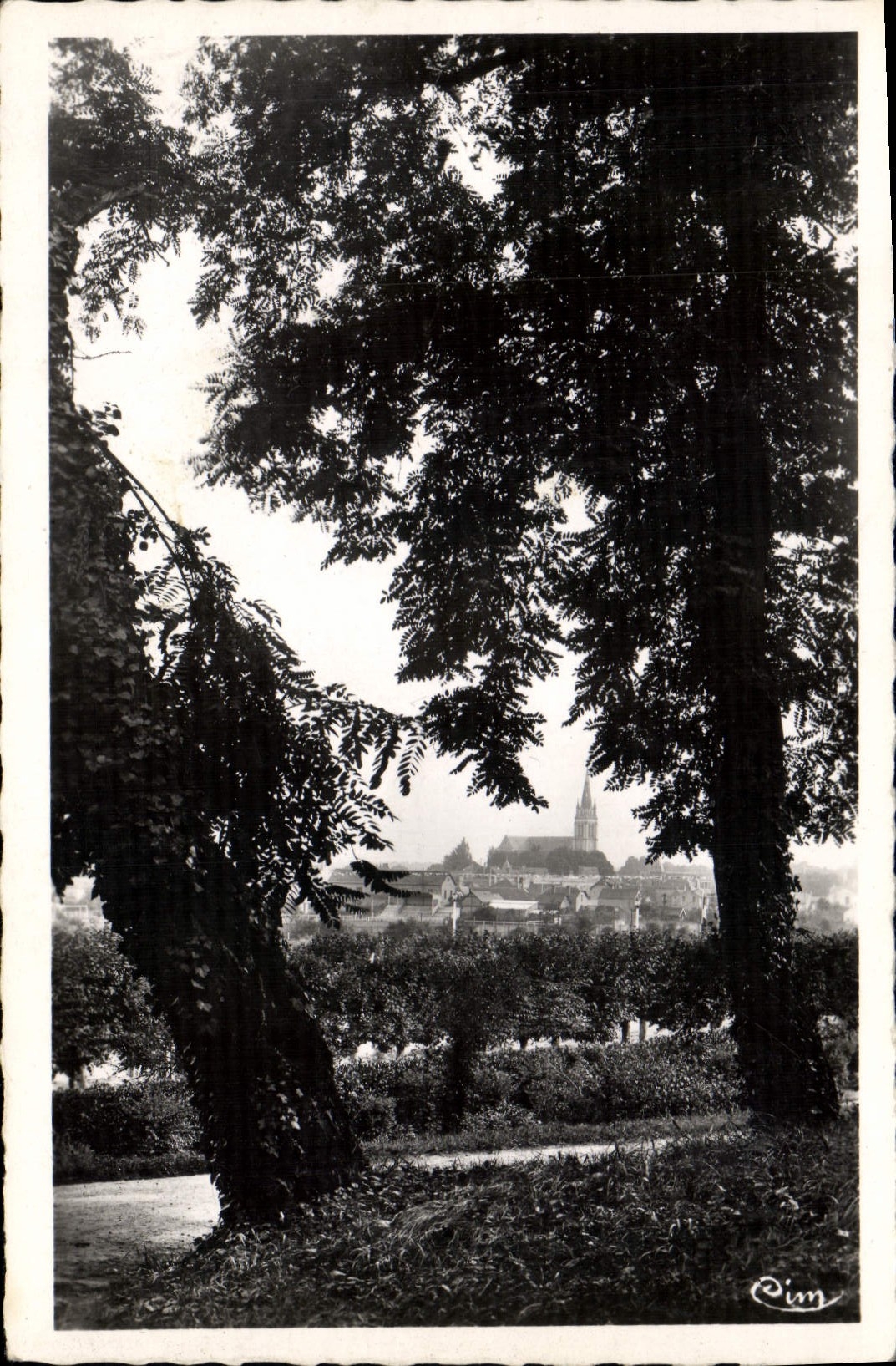 VINTAGE POSTCARD Sand On the Perspective Sarthe On the City