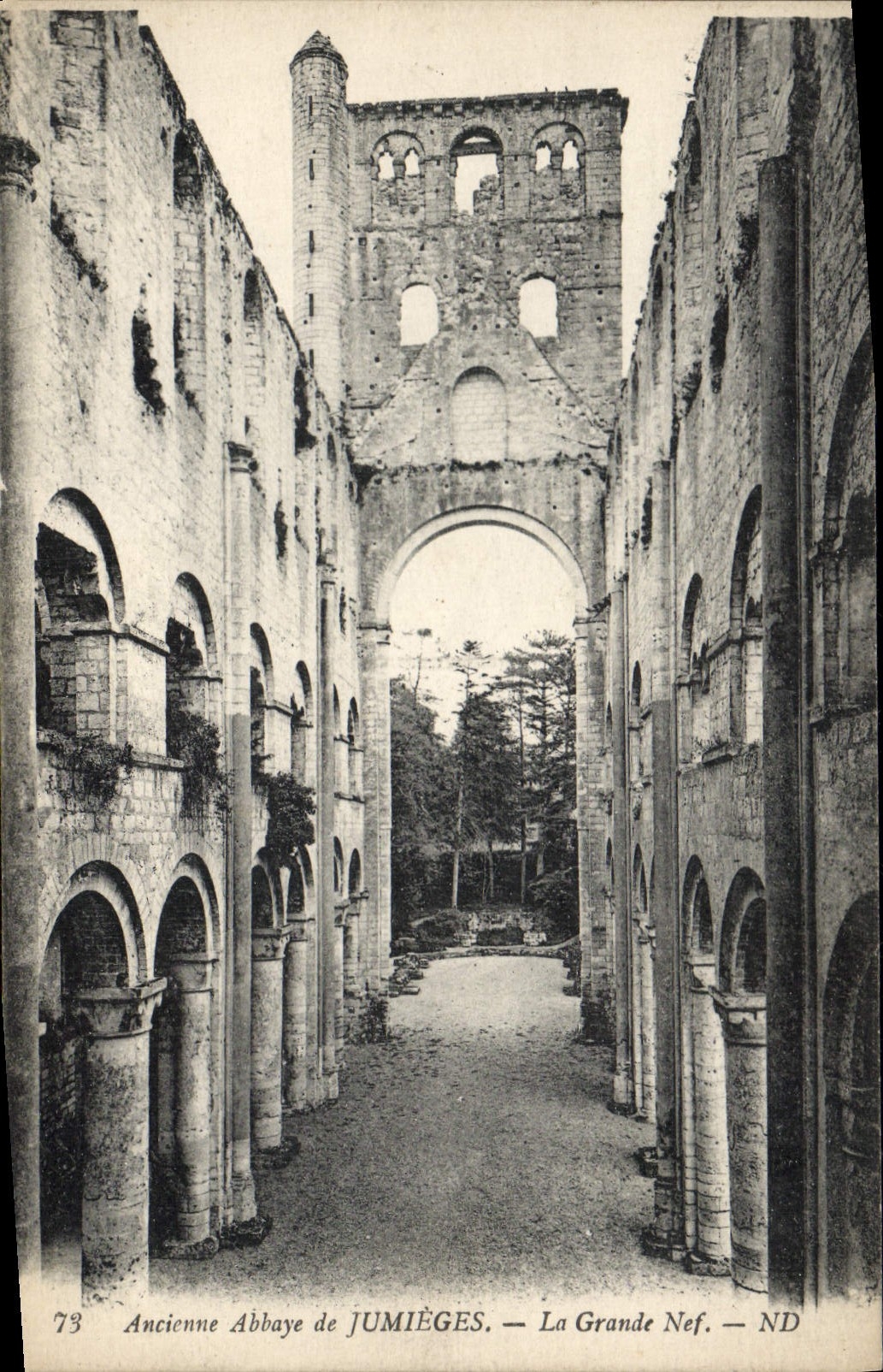 VINTAGE POSTCARD Old Abbey De Jumieges the Great nave