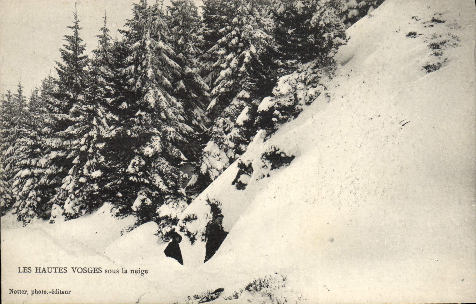 VINTAGE POSTCARD the High Vosges Under Snow