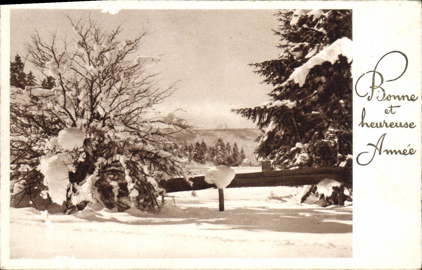 CPA Bonne Et Heureuse Annee