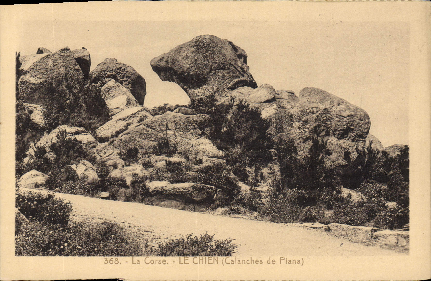 POSTAL Córcega de la VENDIMIA las calas del perro de Piane