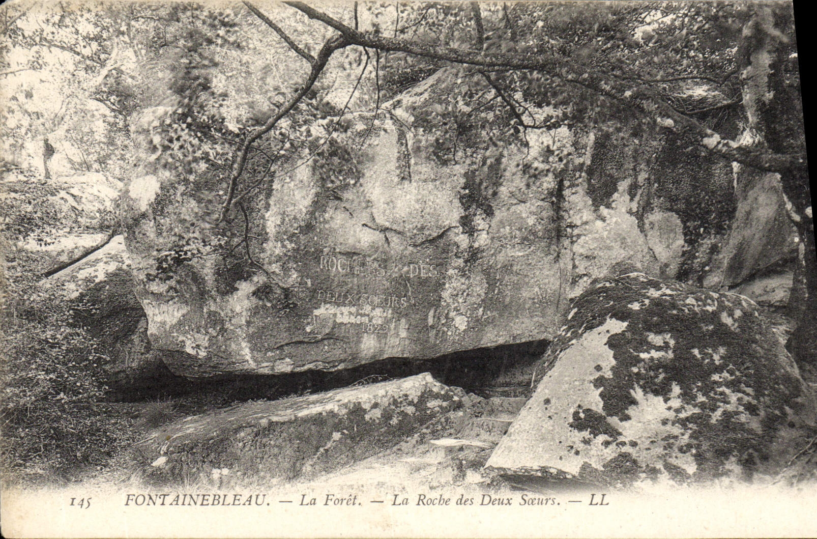 CPA Fontainebleau La Foret La Roche Des Deux Soeurs