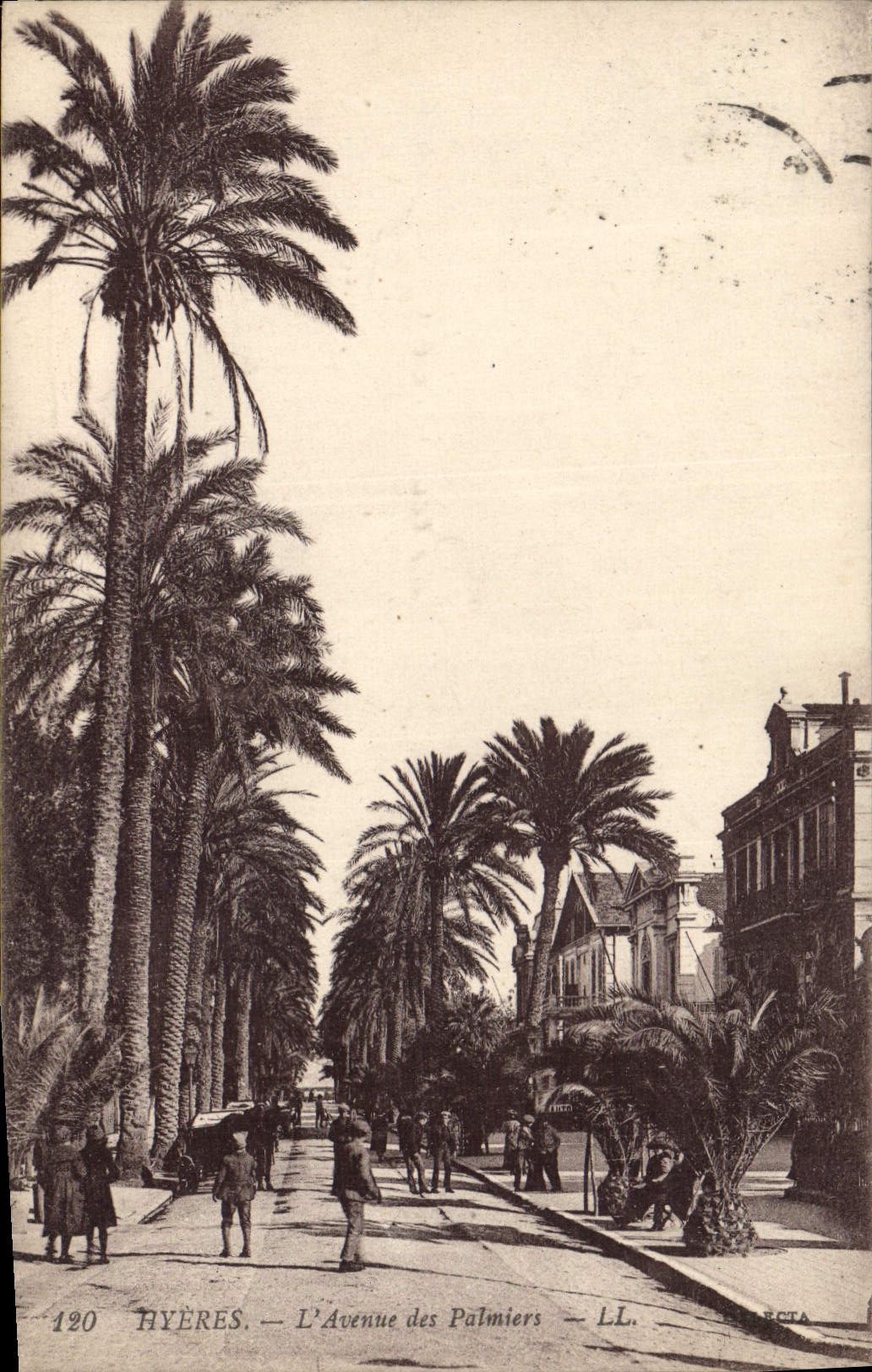 VINTAGE POSTCARD Hyeres the Avenue of the Palm trees