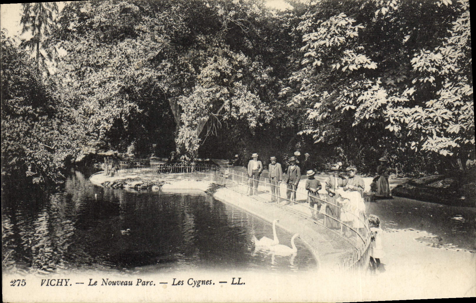 CPA Vichy Le Nouveau Parc Les cygnes