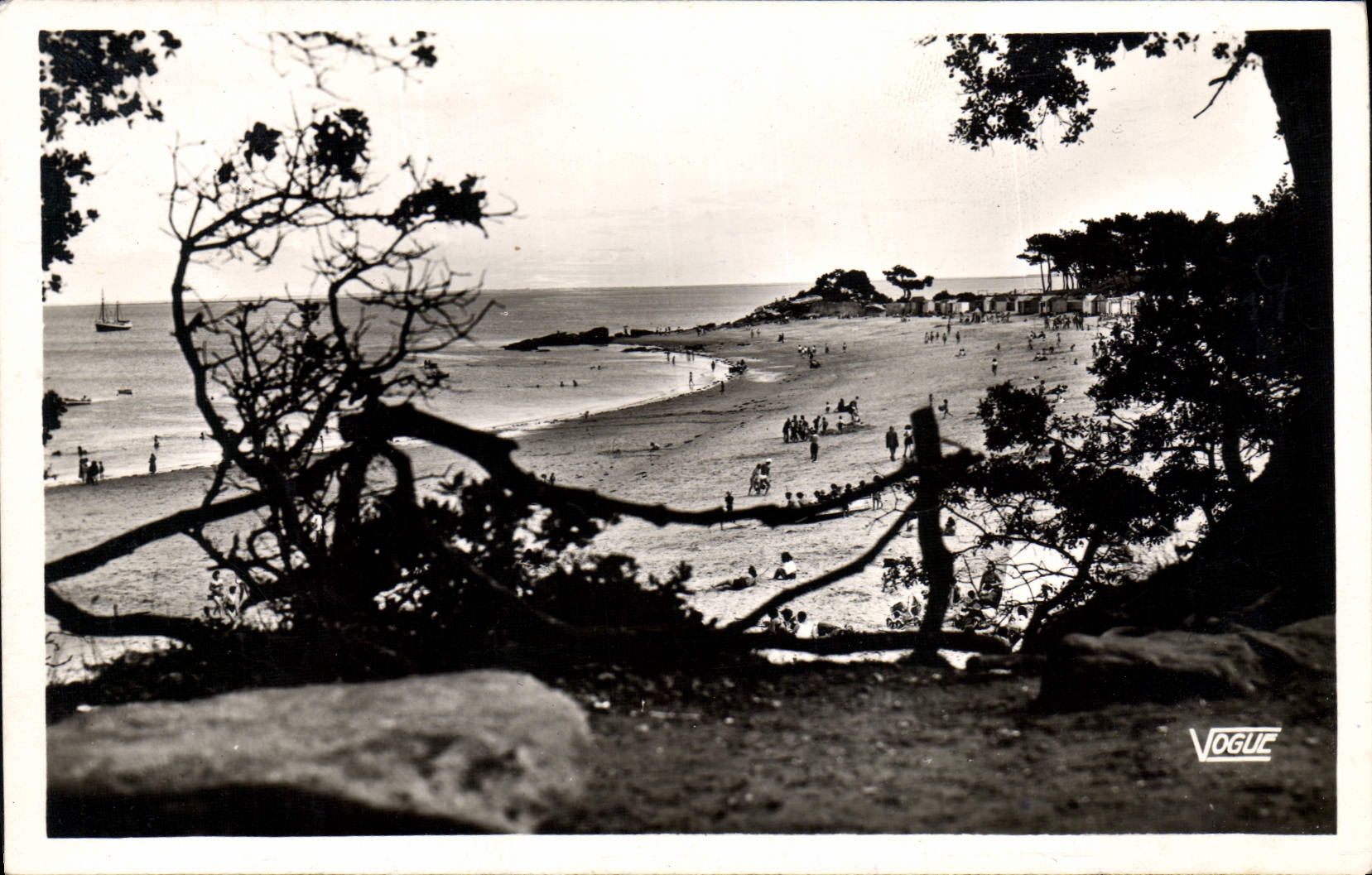 MODERN CARD Noirmoutier the Beach of the Ladies Taken of the Wood of Chaize