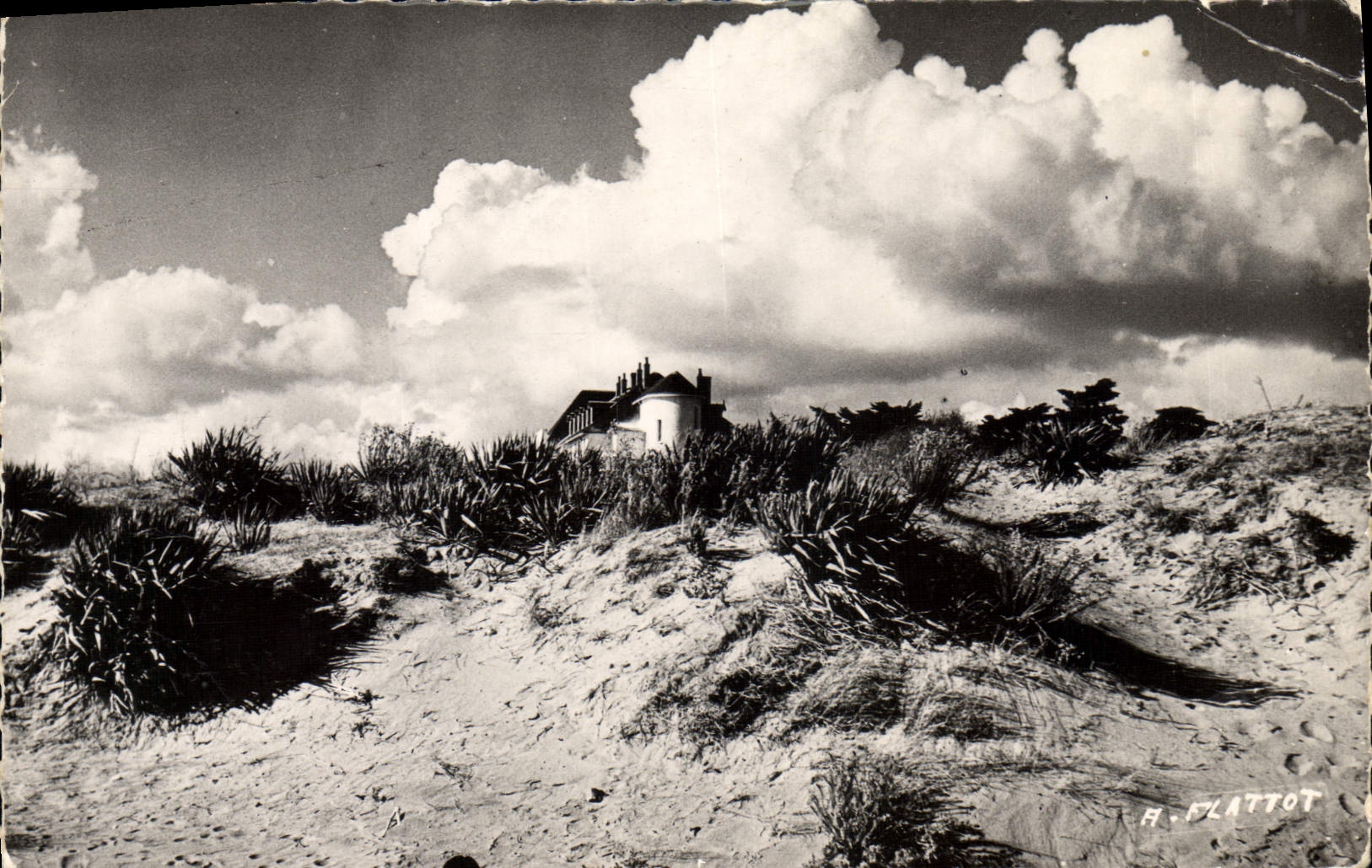 MODERN CARD Holy Brevin the Ocean dunes