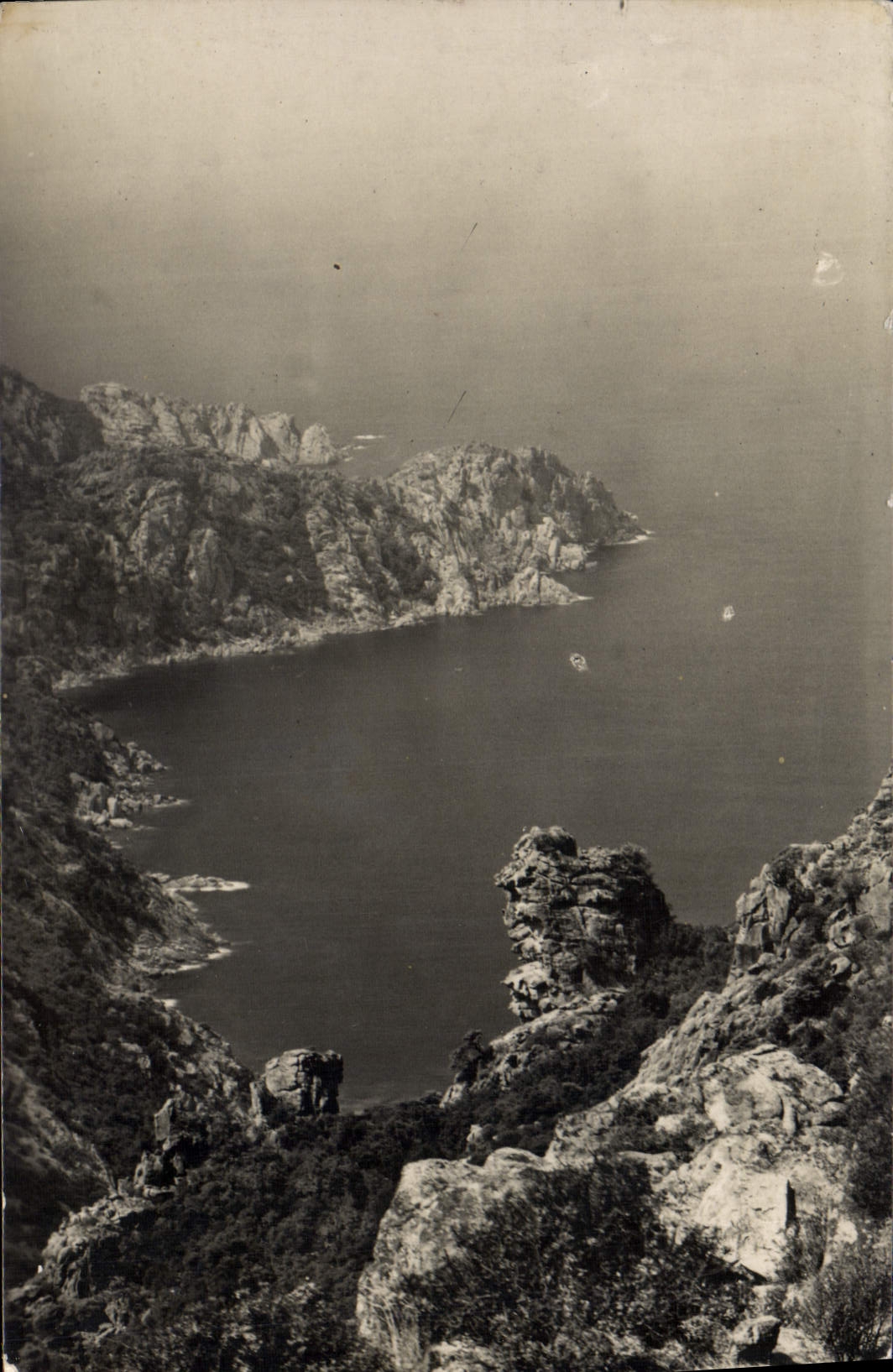 POSTAL Córcega Oporto de la VENDIMIA