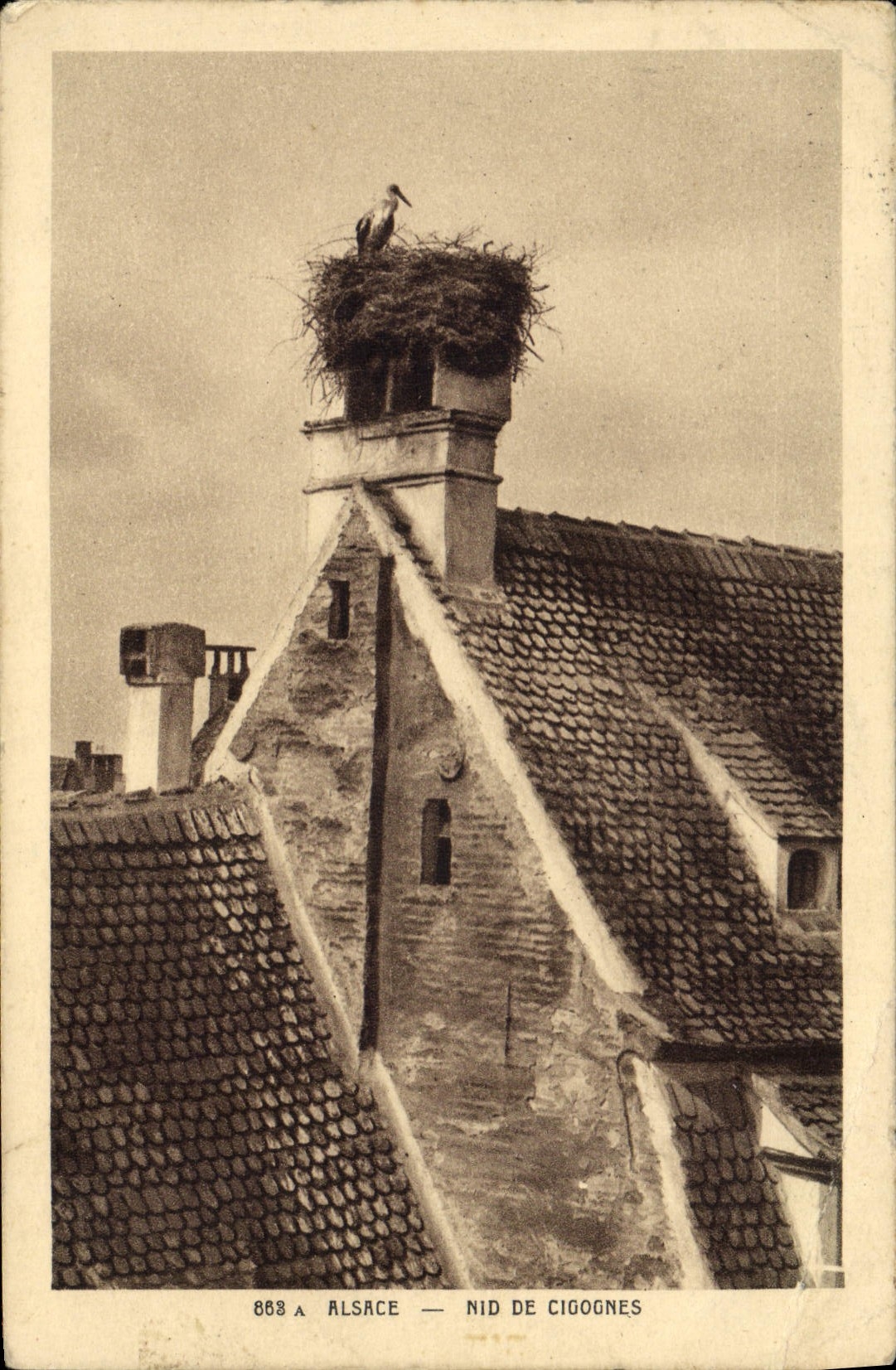 CPA Alsace Nid De Clgognes