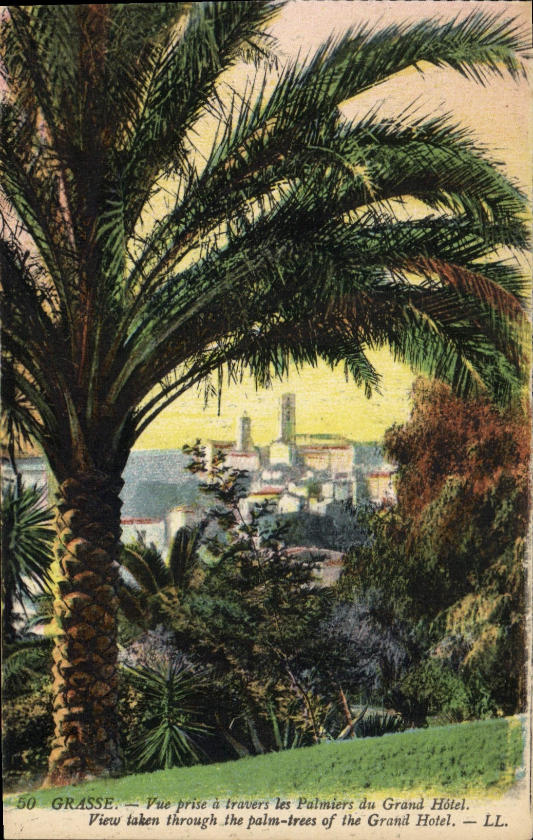 CPA Grasse Vue Prise a Travers les Palmiers du Grand Hotel